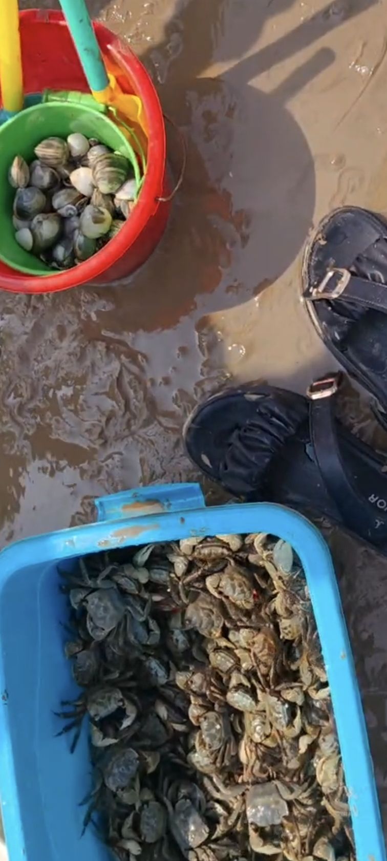 东营金泥湾旅行图片 2