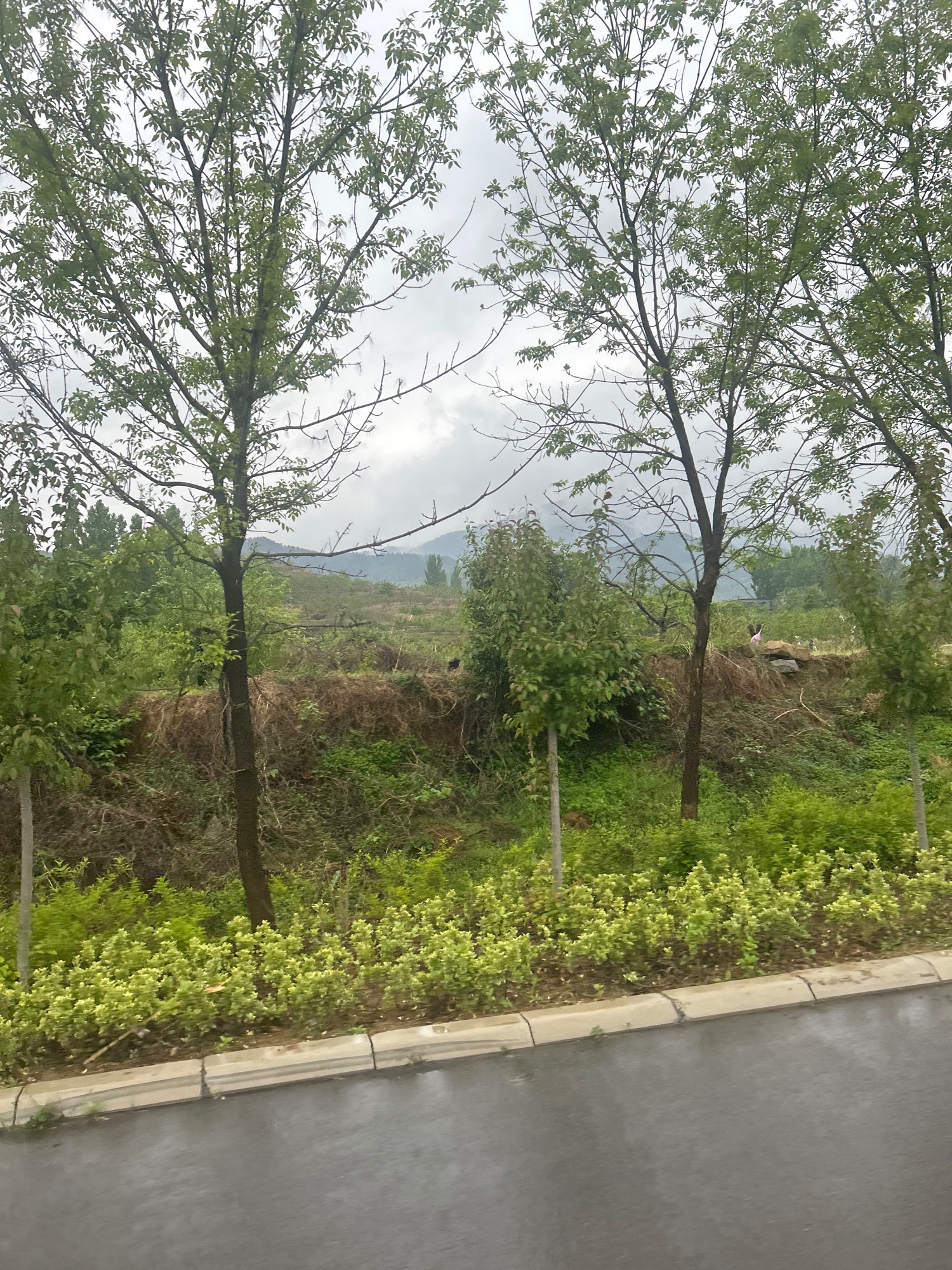 百泉峪风景区旅行图片 2