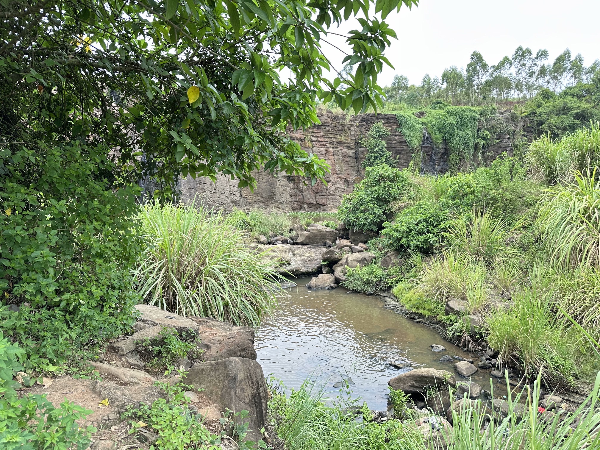 龙门瀑布雷州旅行图片 2