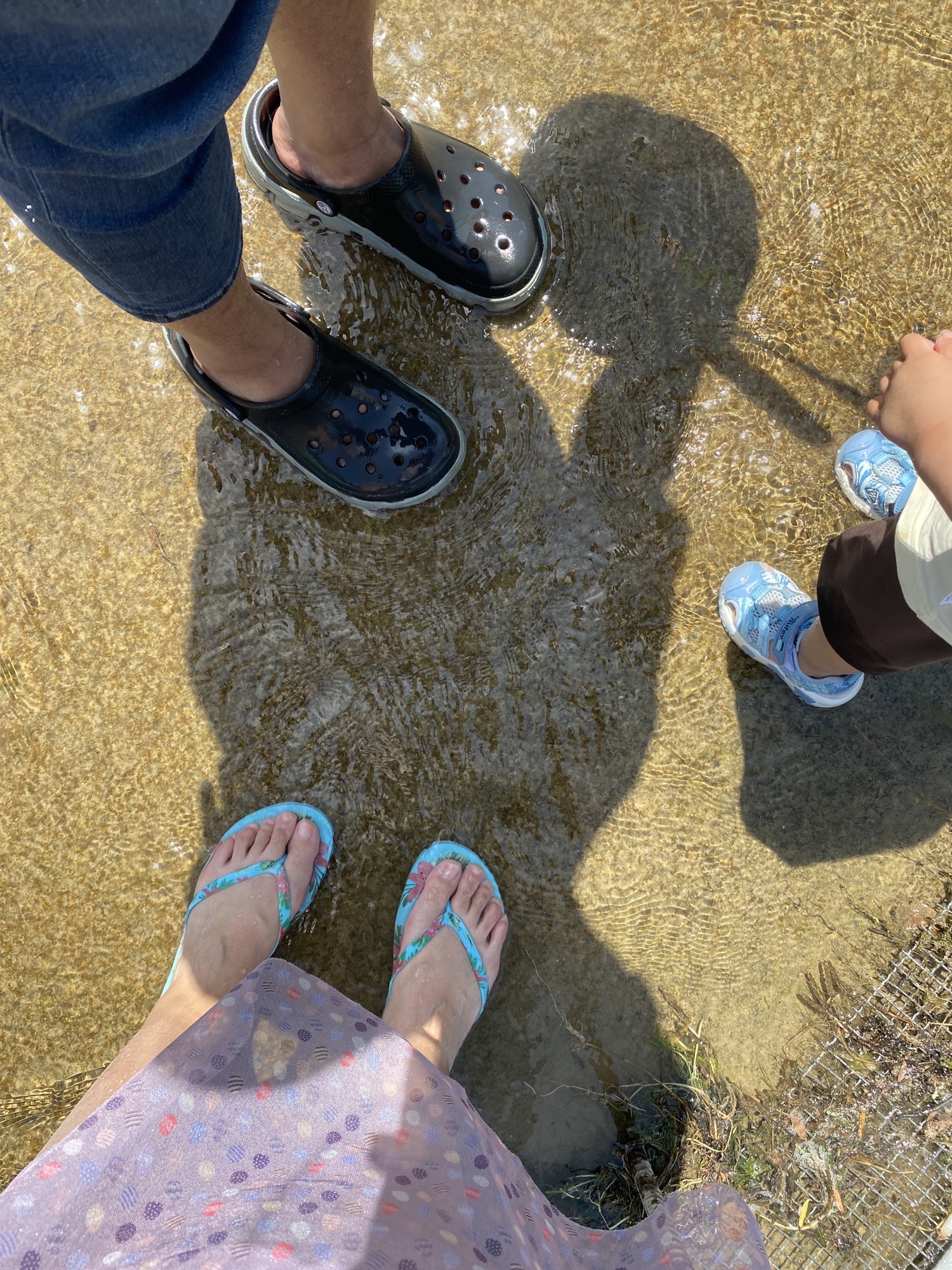 盘古小江南旅行图片 3