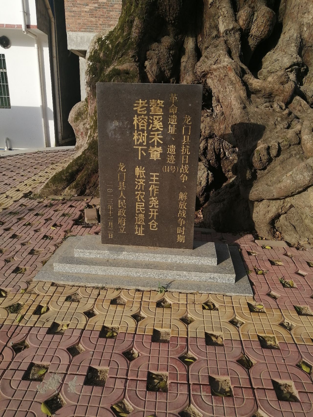 鳌溪千年大榕树旅行图片 1