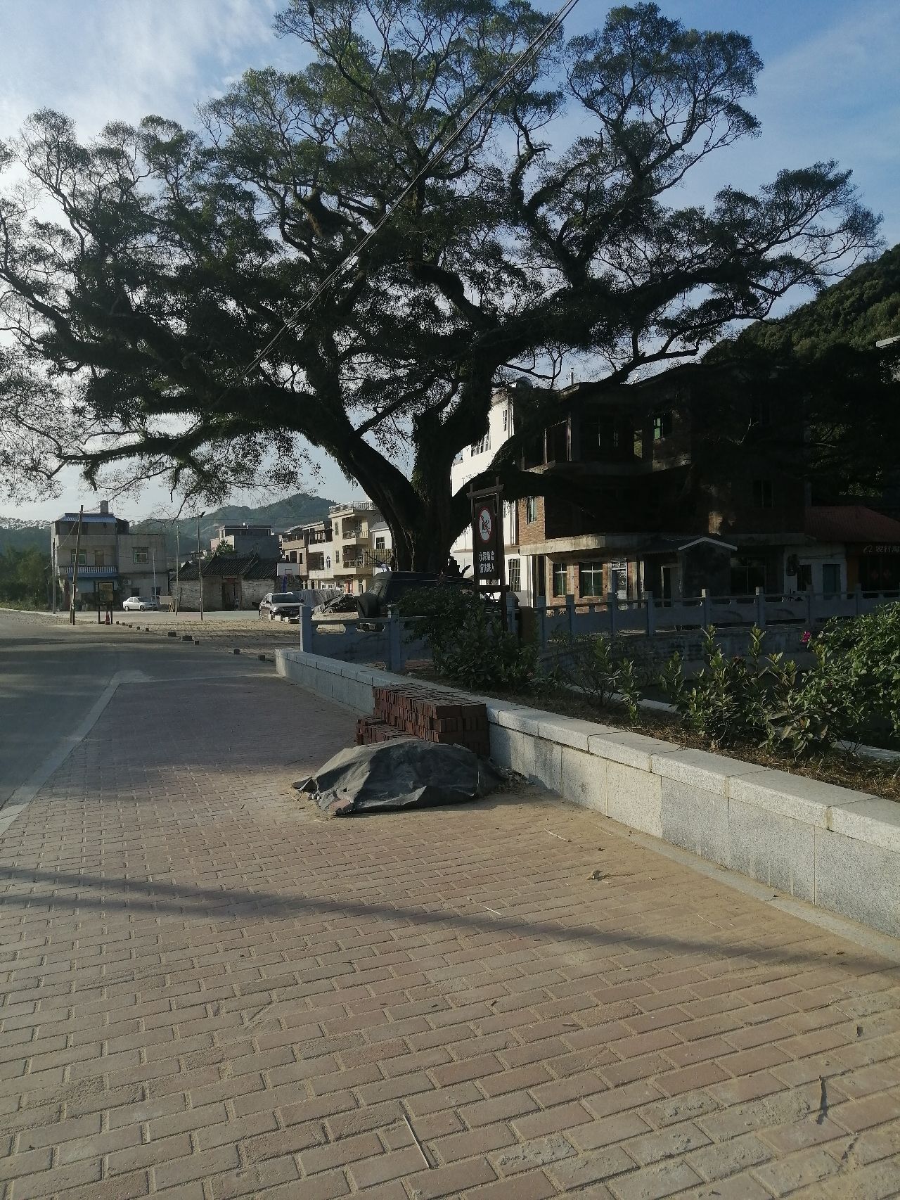 鳌溪千年大榕树旅行图片 2