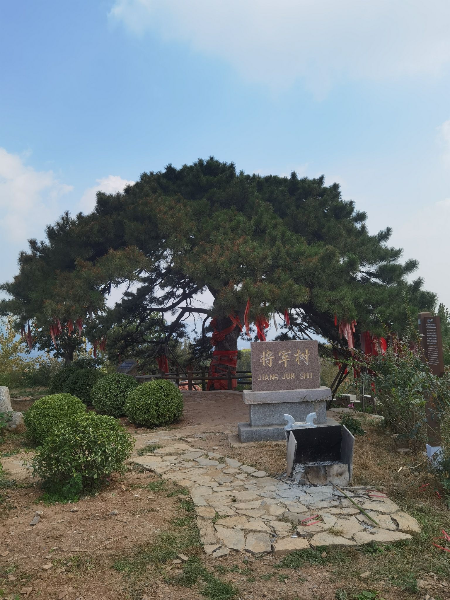 将军树旅行图片 1
