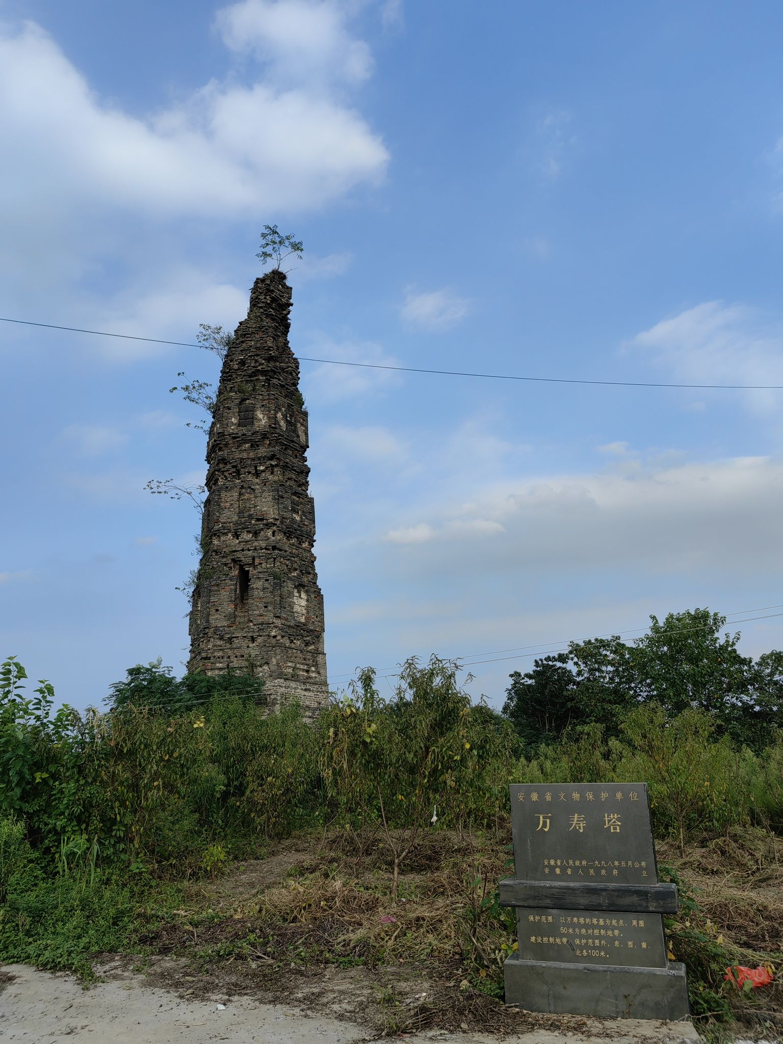 万寿塔旅行图片 1