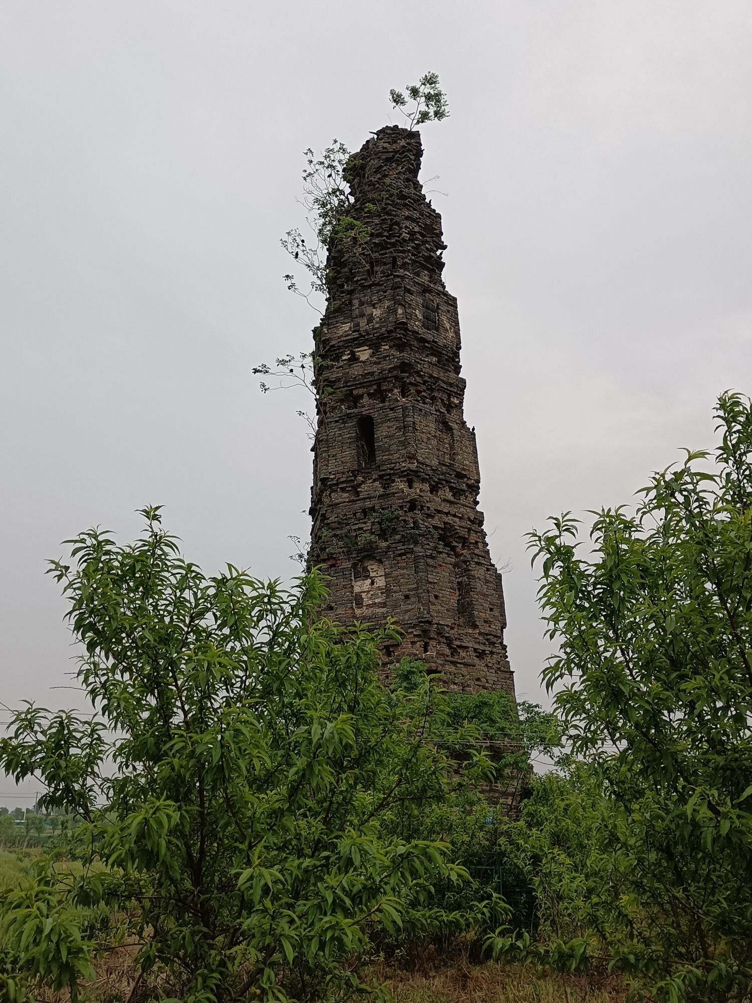 万寿塔旅行图片 3