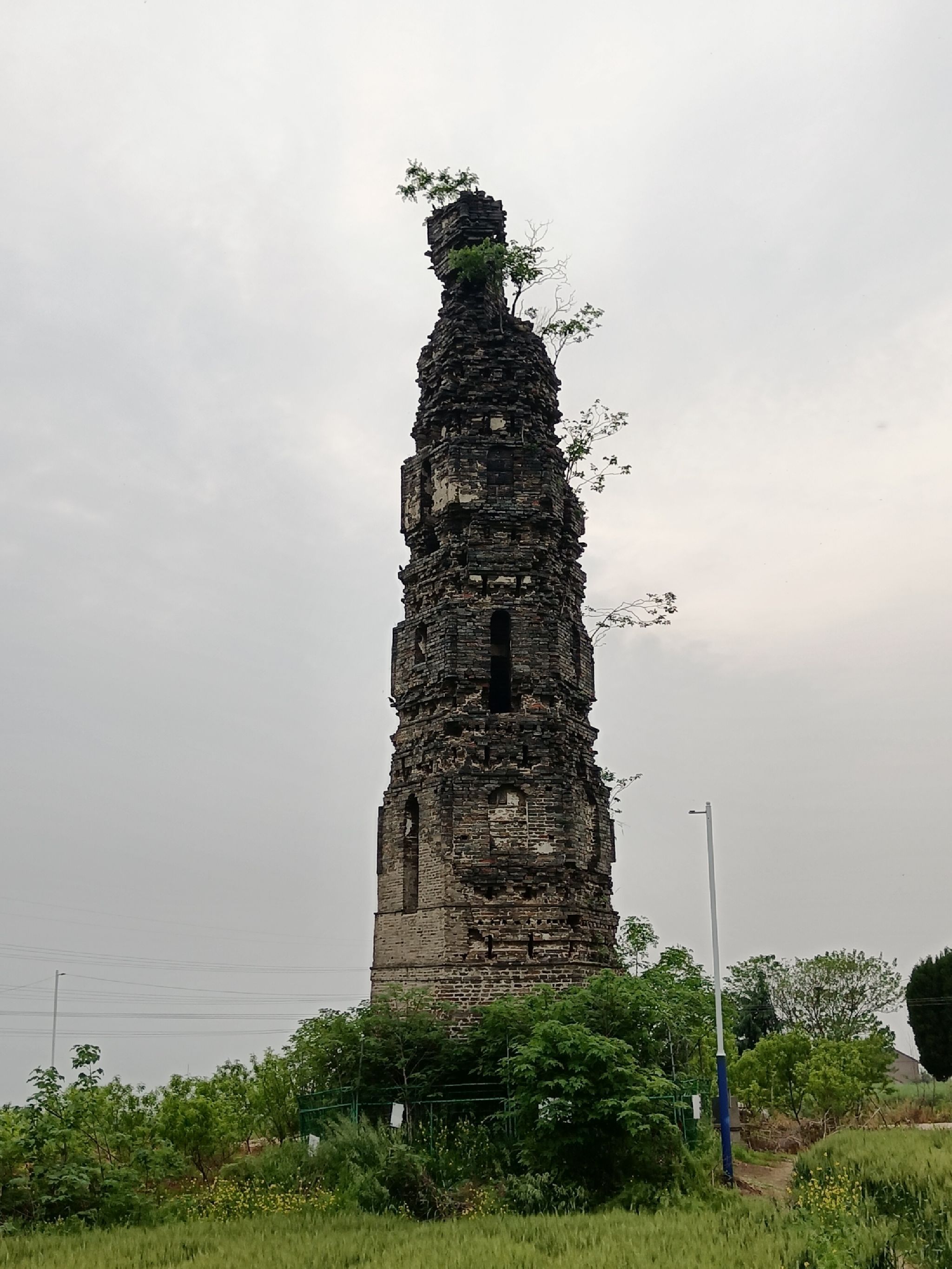 万寿塔旅行图片 1