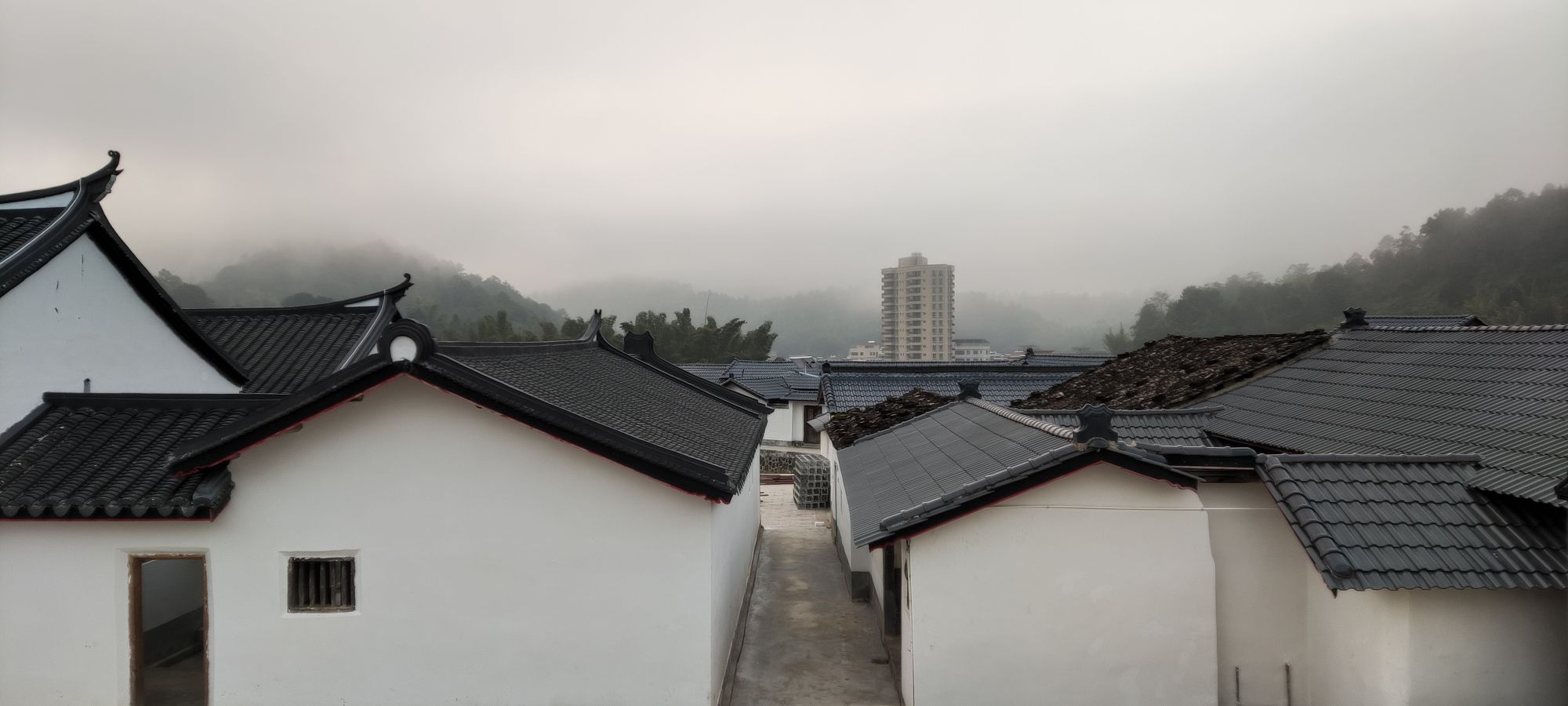 紫荆围旅行图片 2
