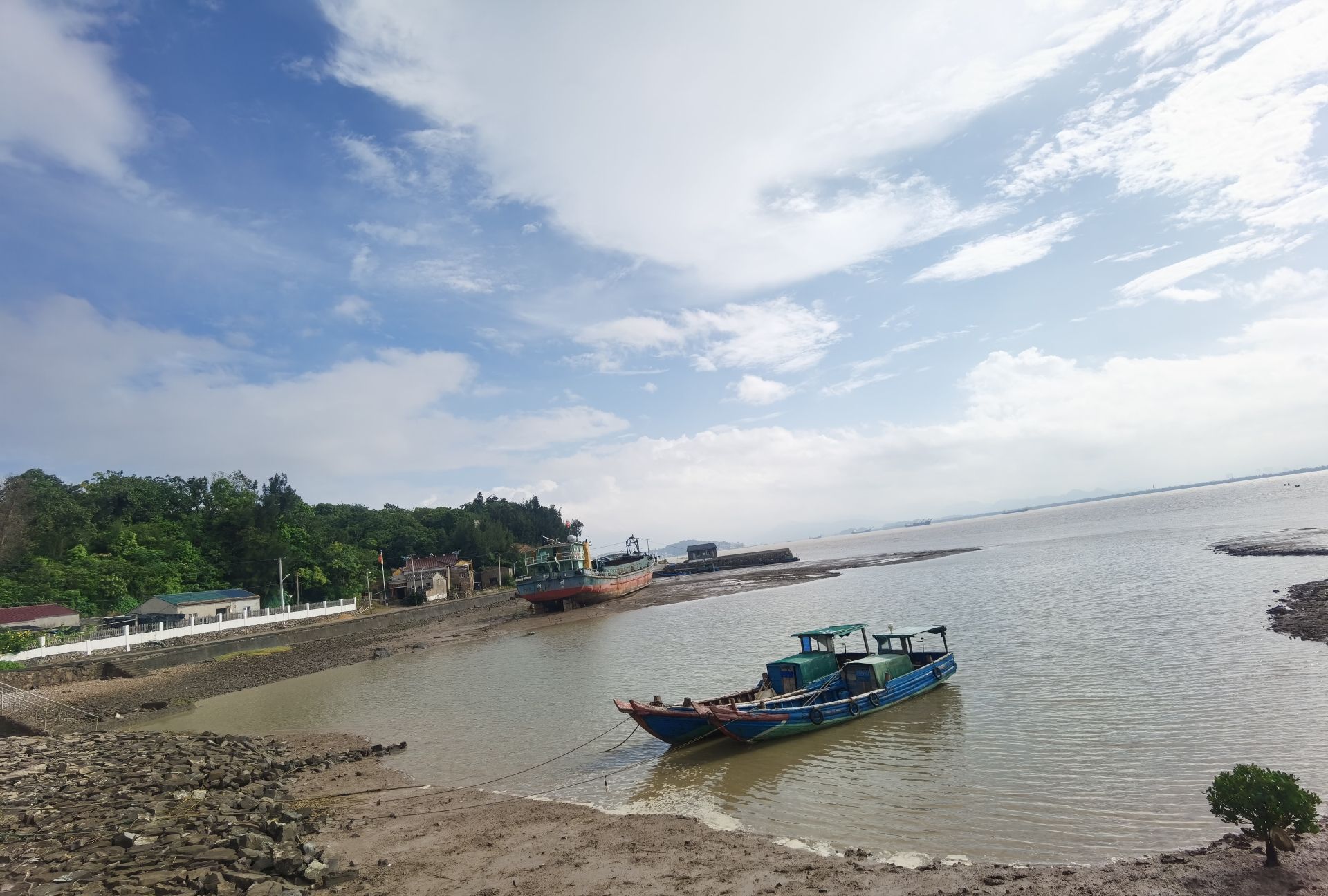 海山乡红树林湿地旅行图片 2