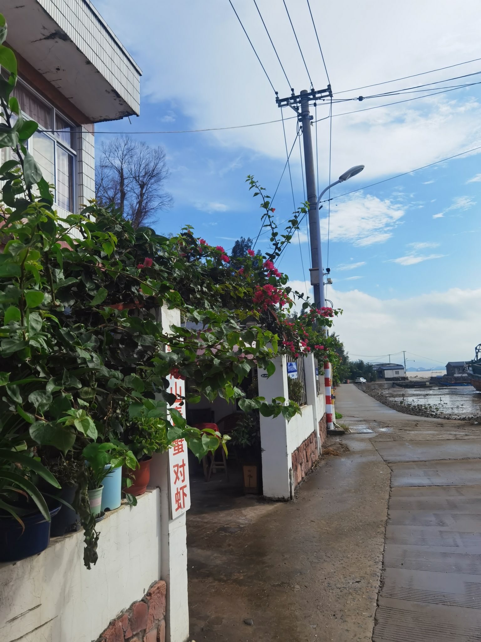海山乡红树林湿地旅行图片 1