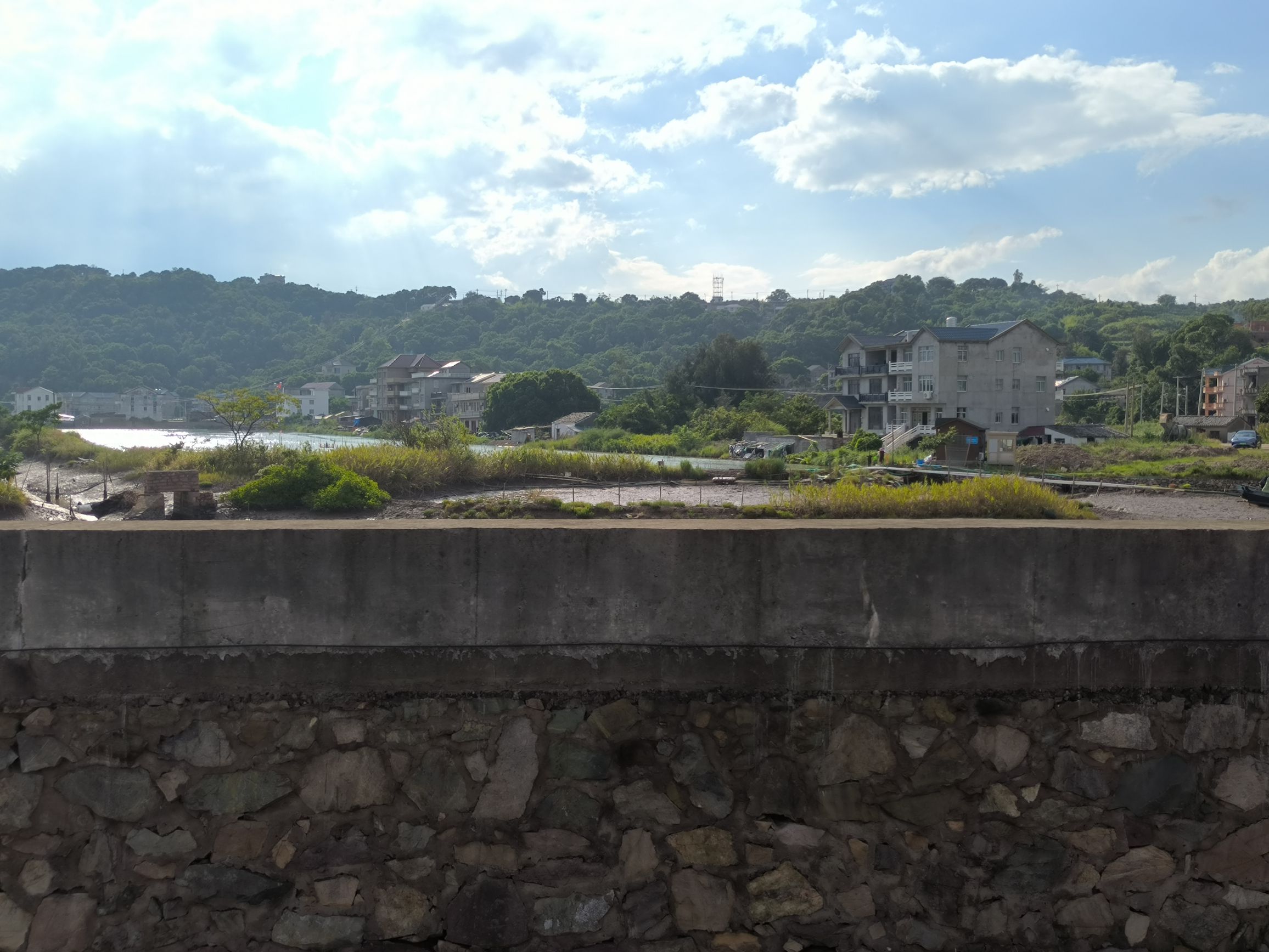海山乡红树林湿地旅行图片 2