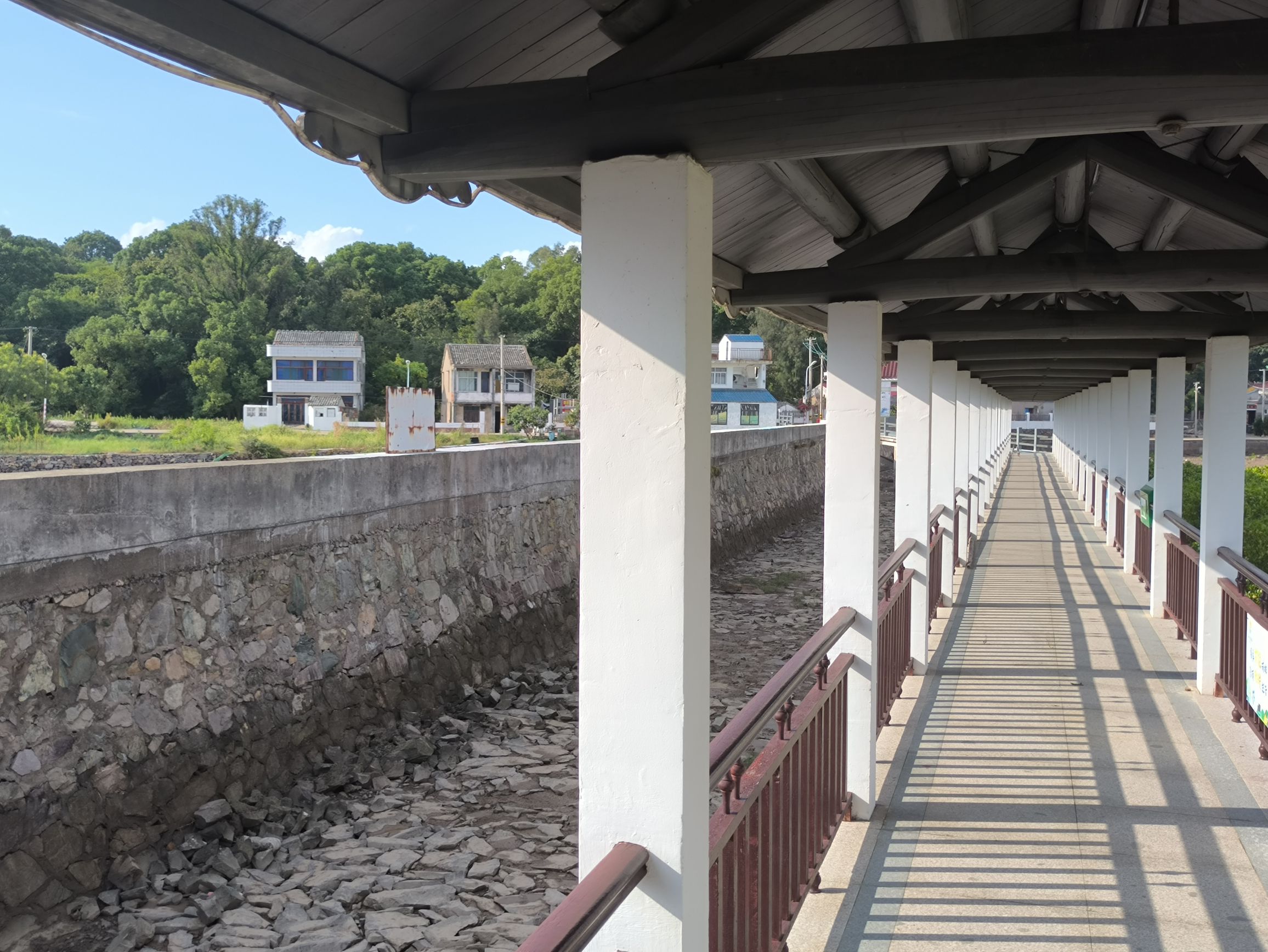 海山乡红树林湿地旅行图片 3