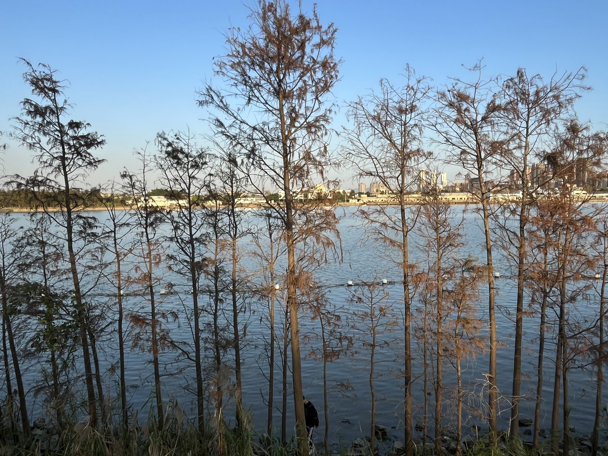 黄杨河湿地公园旅行图片 2