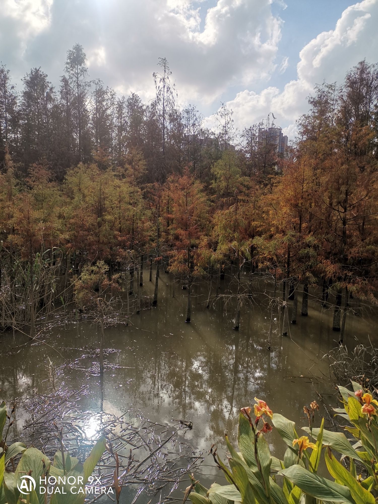 黄杨河湿地公园旅行图片 3