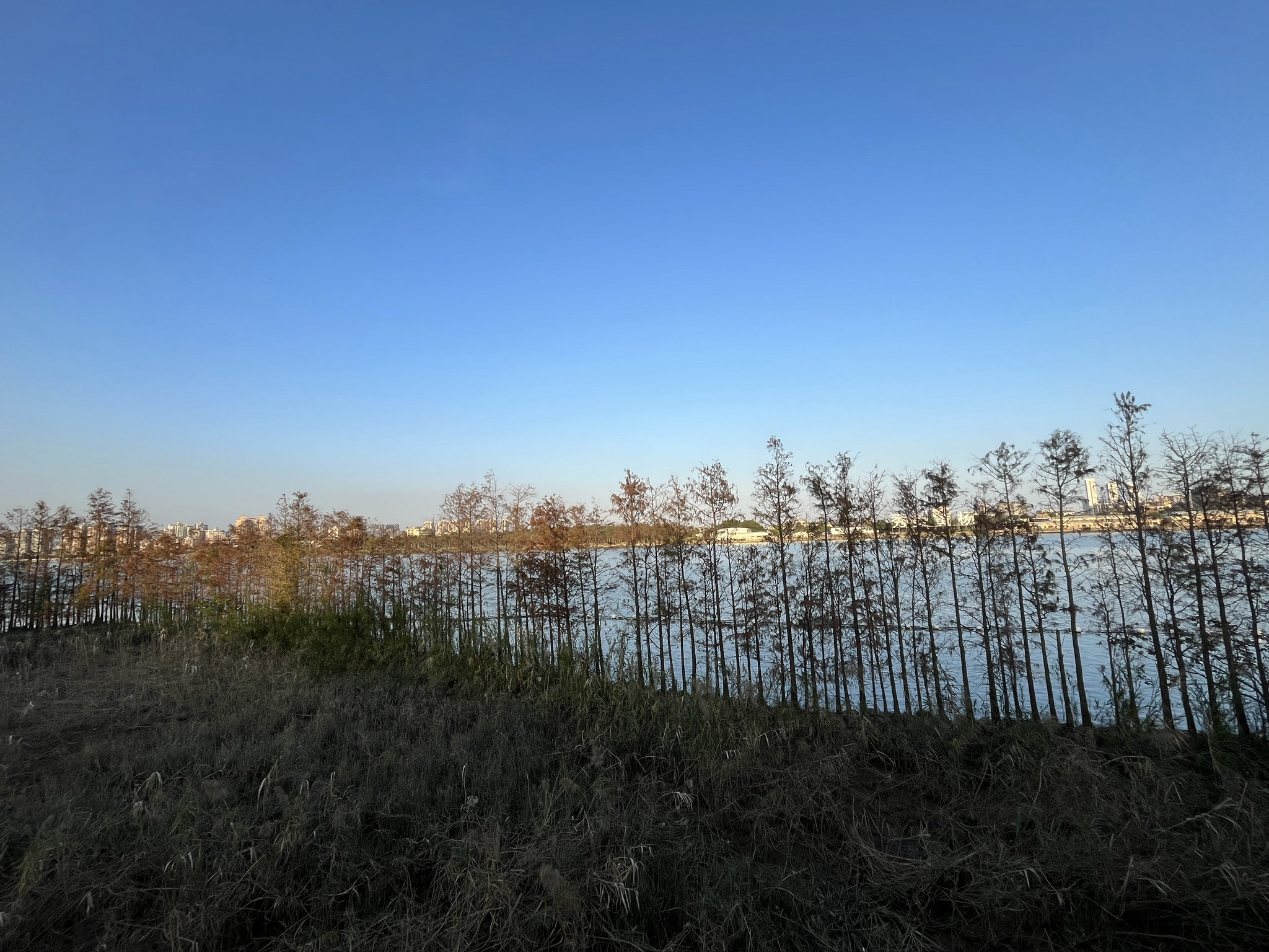 黄杨河湿地公园旅行图片 3