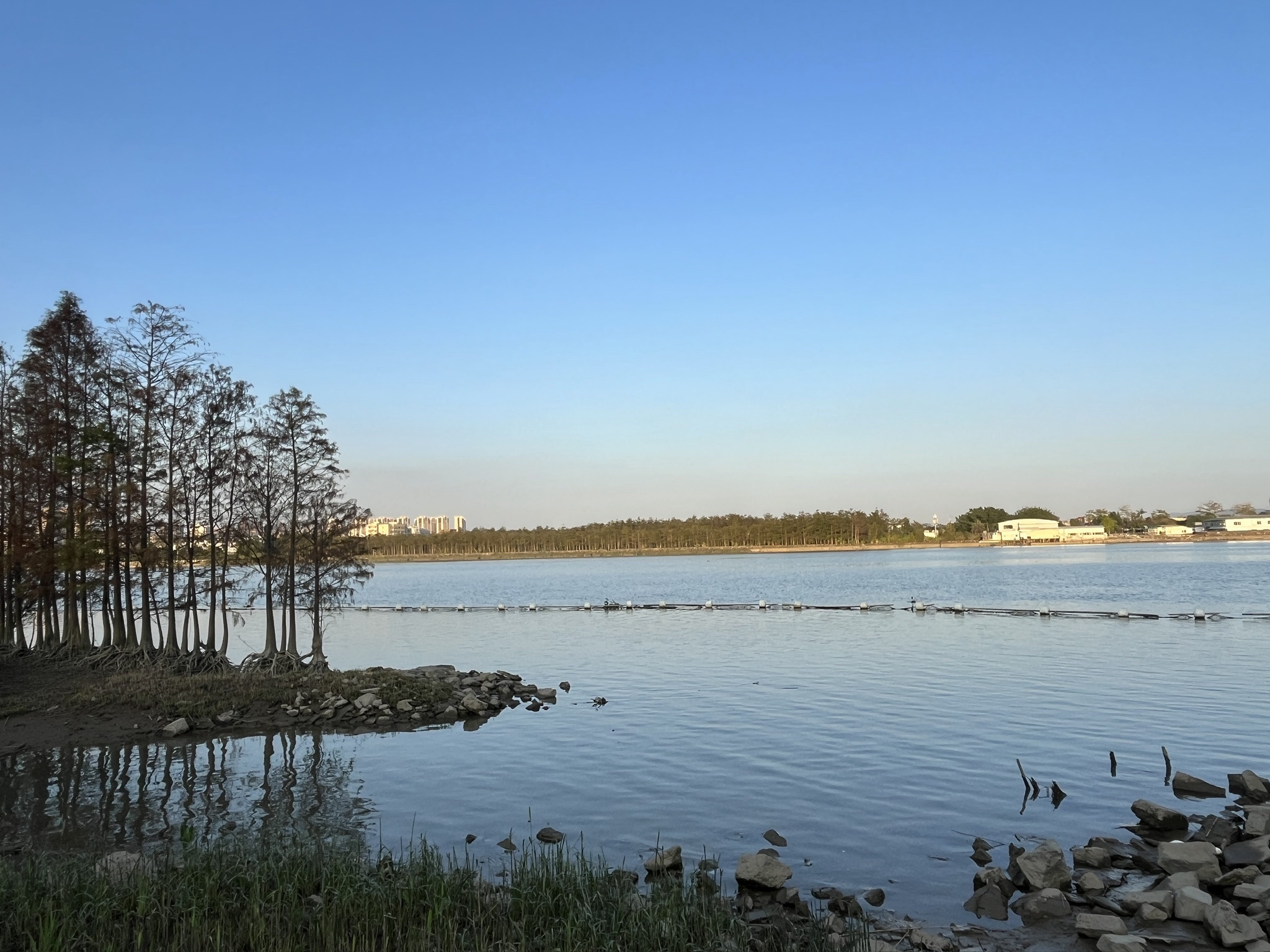 黄杨河湿地公园旅行图片 1