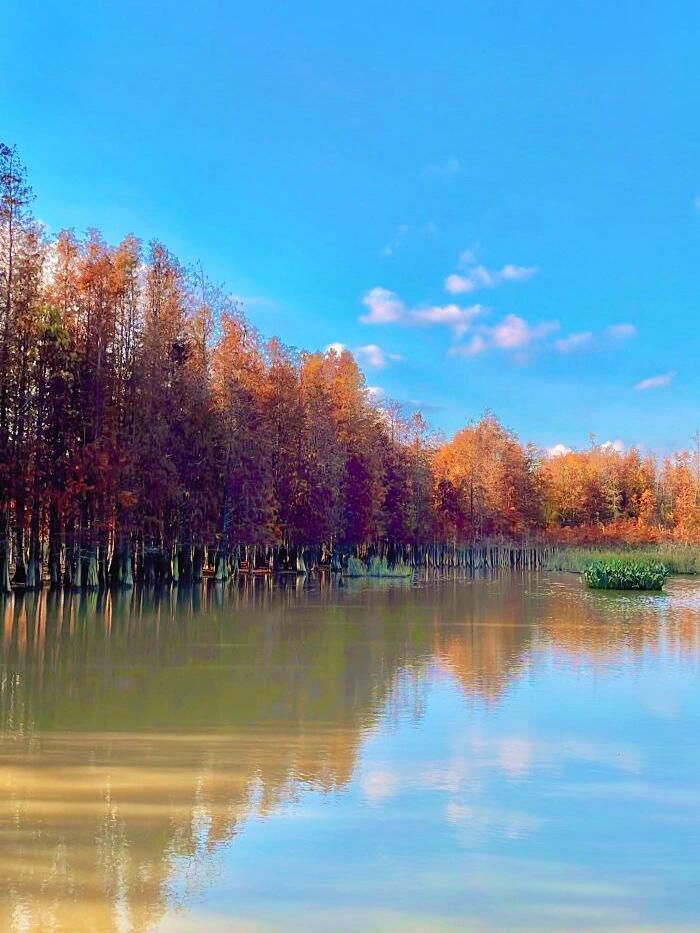 黄杨河湿地公园旅行图片 2