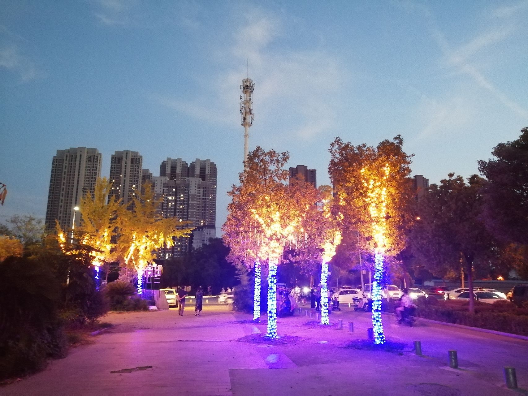 黄狮海公园旅行图片 2
