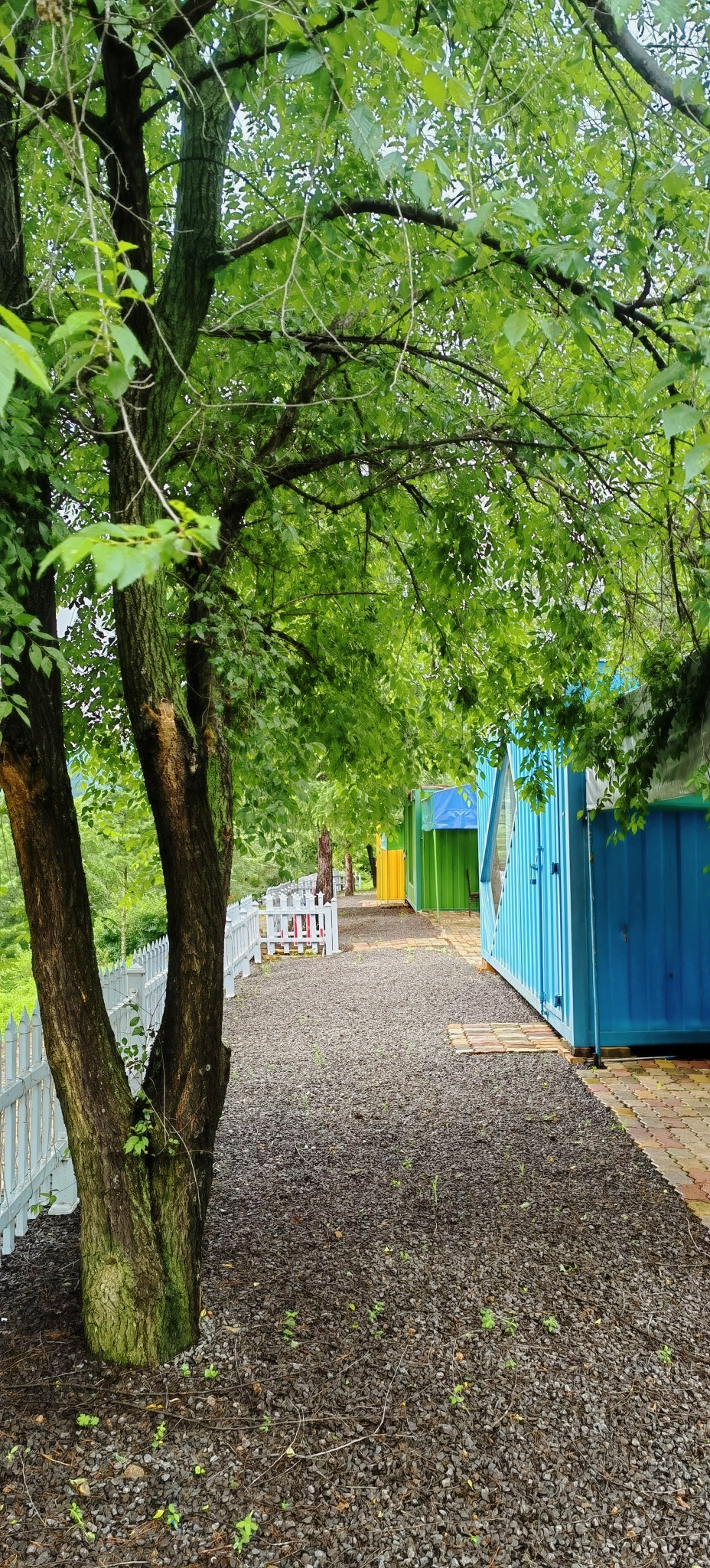 延吉市大雁谷旅行图片