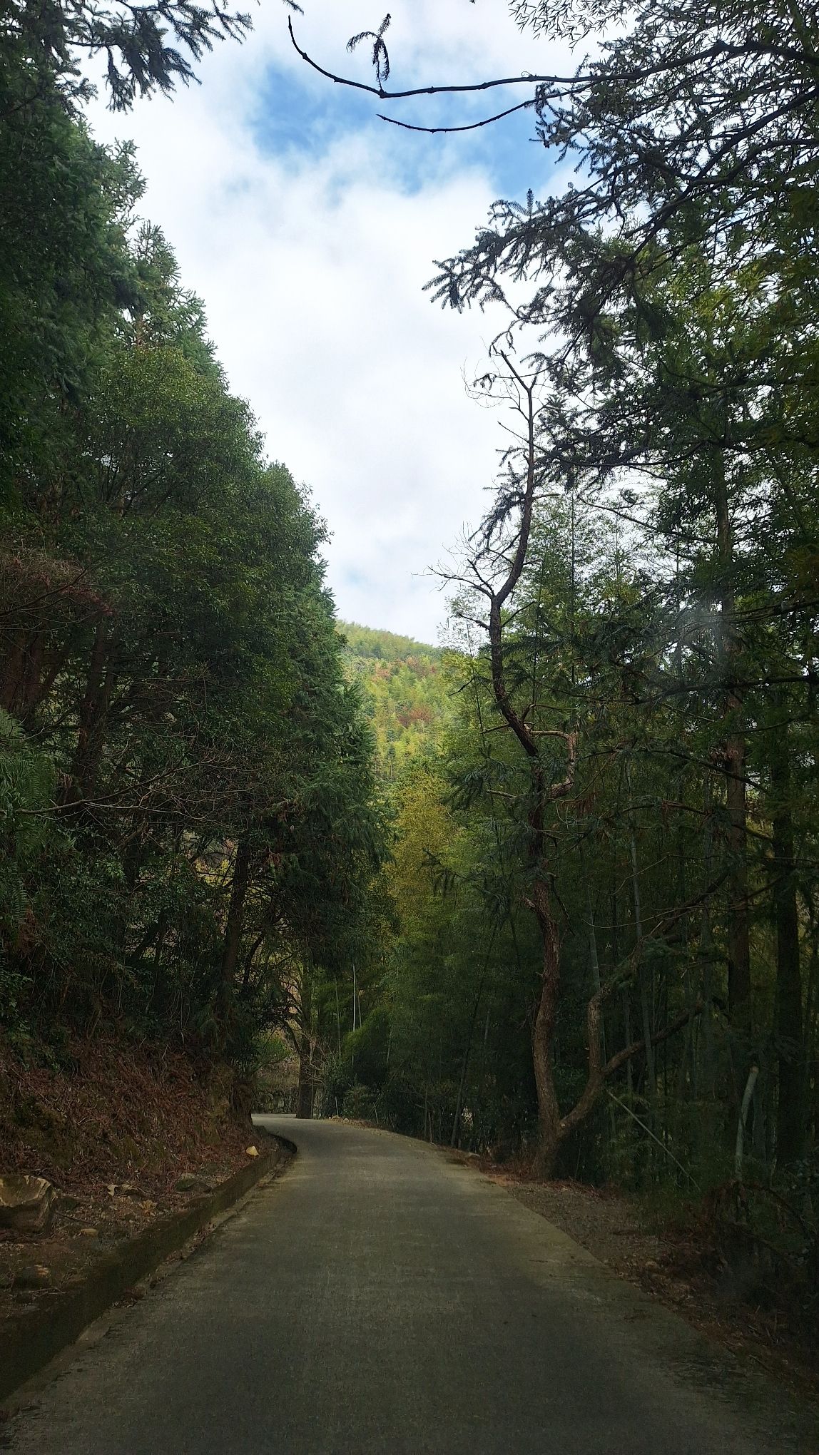 永春县天马山天马台旅行图片 3
