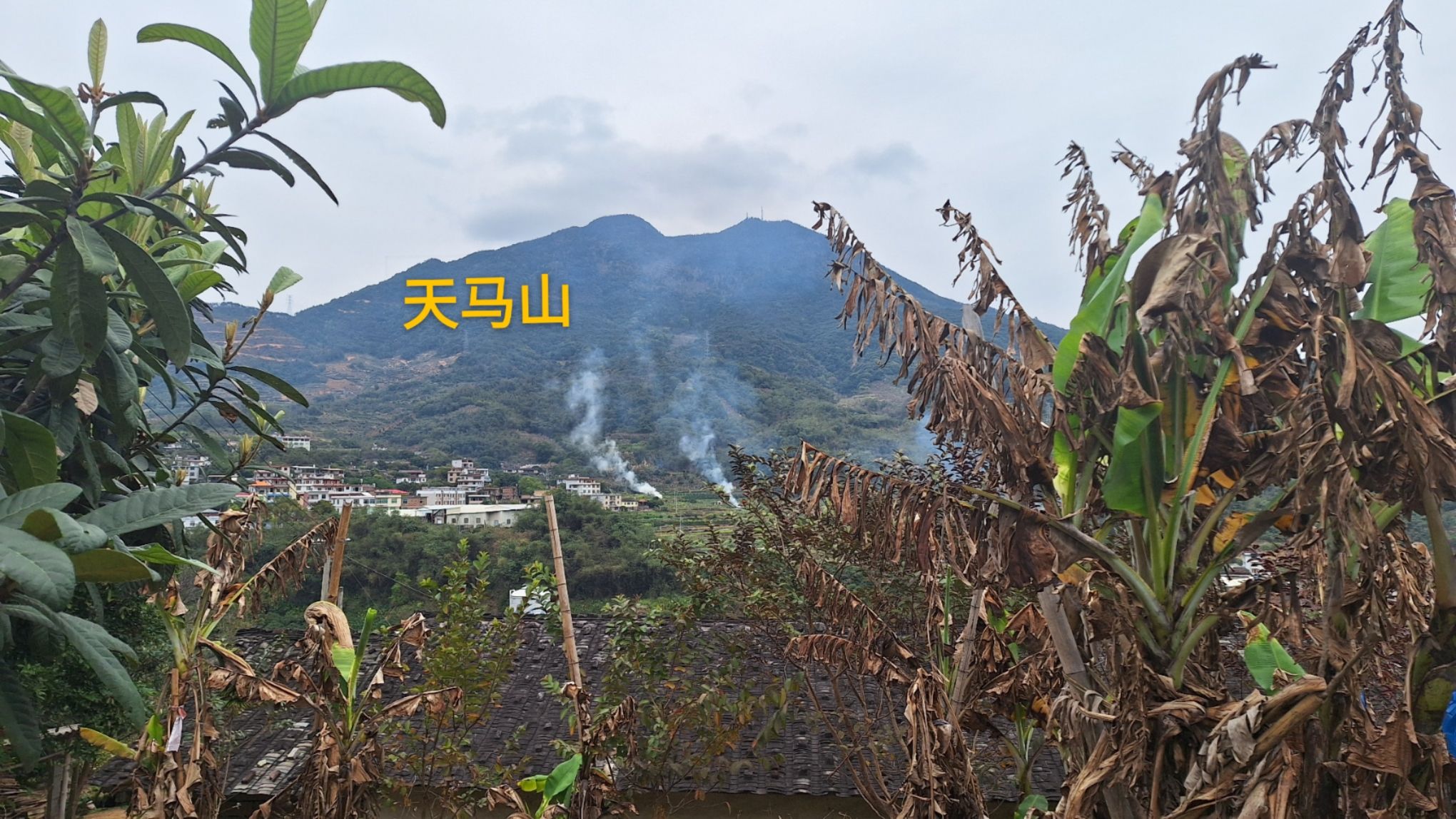 永春县天马山天马台旅行图片 1