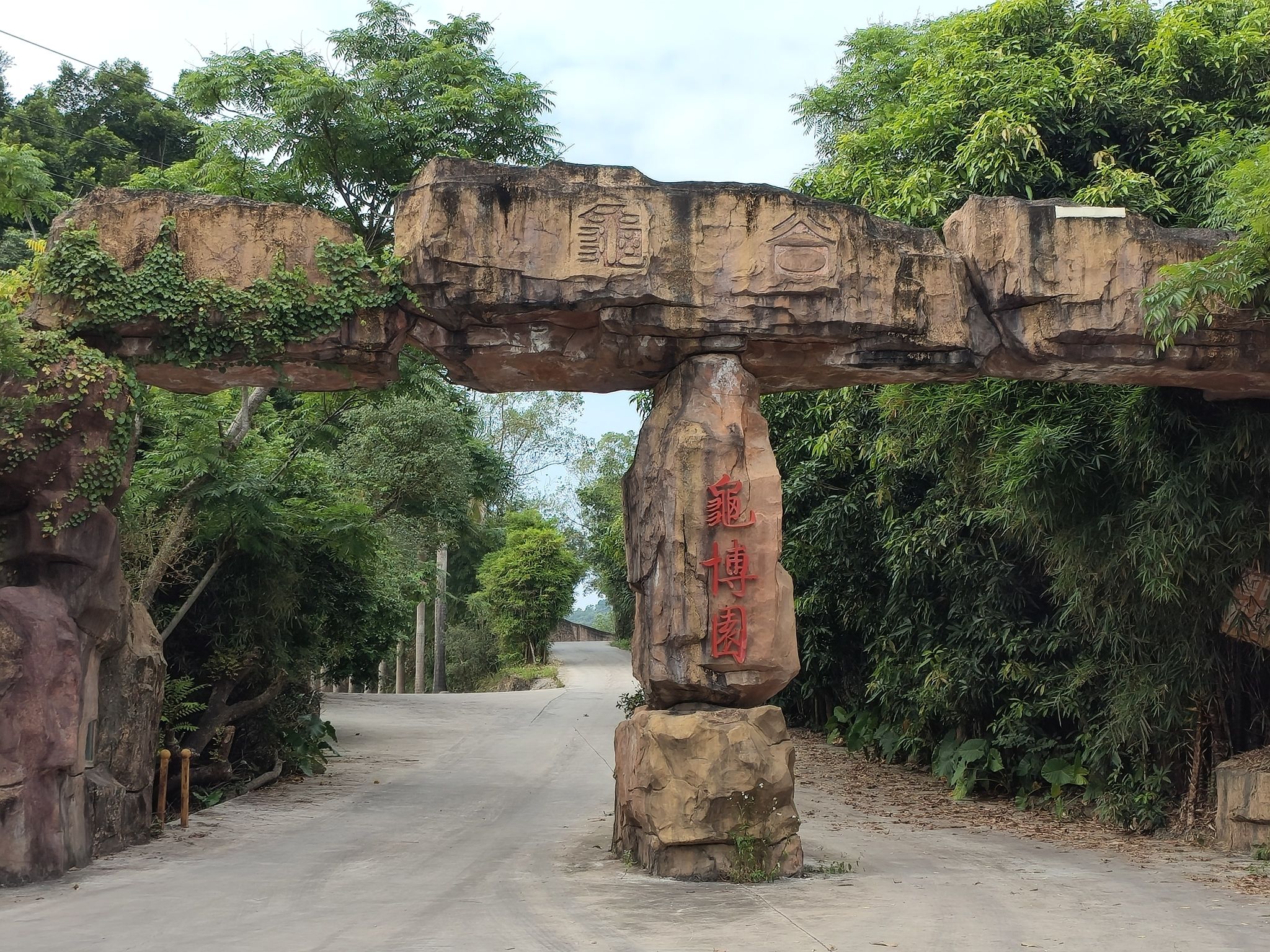 龟谷龟博园旅行图片 1