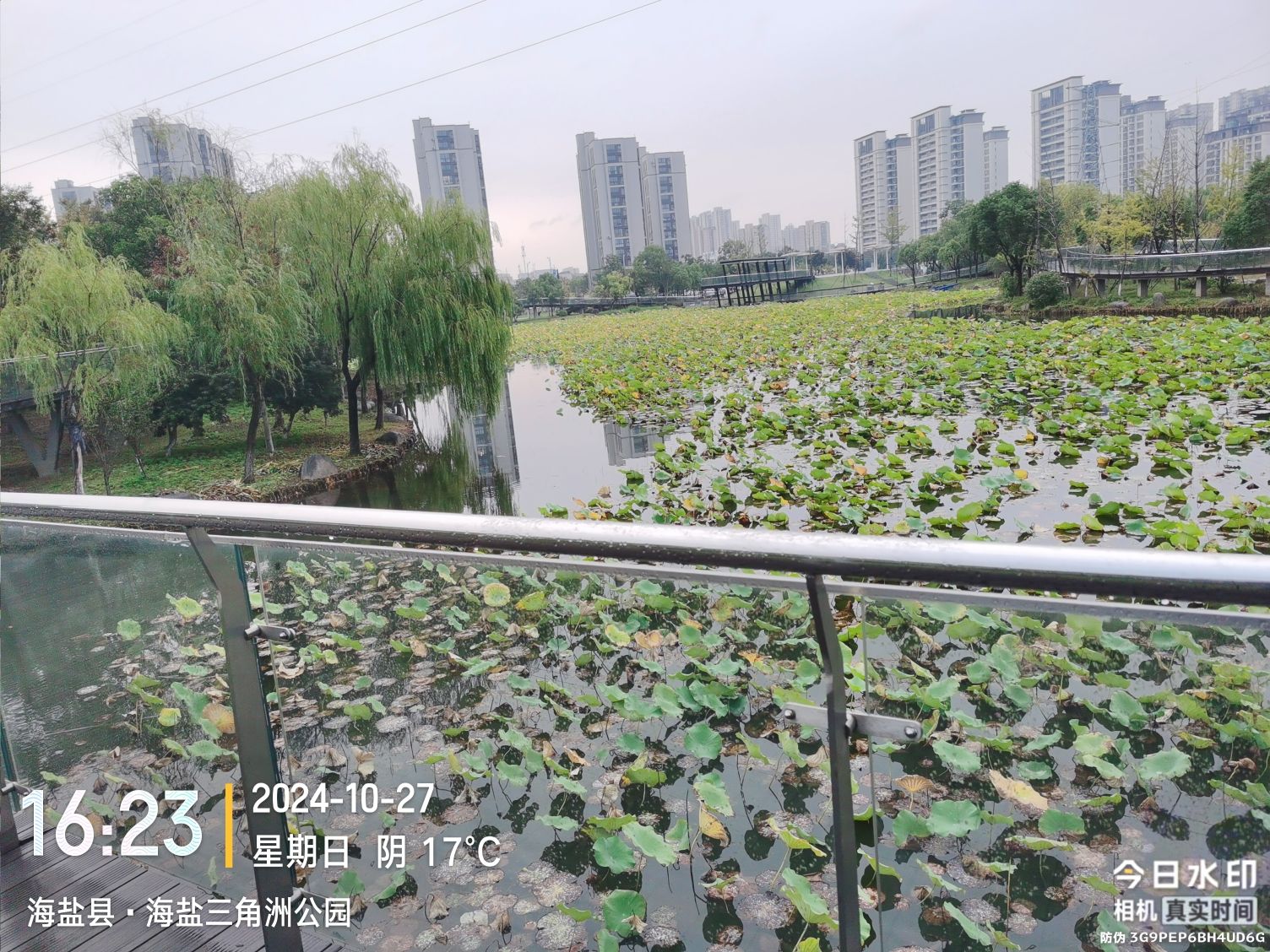 海盐三角洲公园旅行图片 2