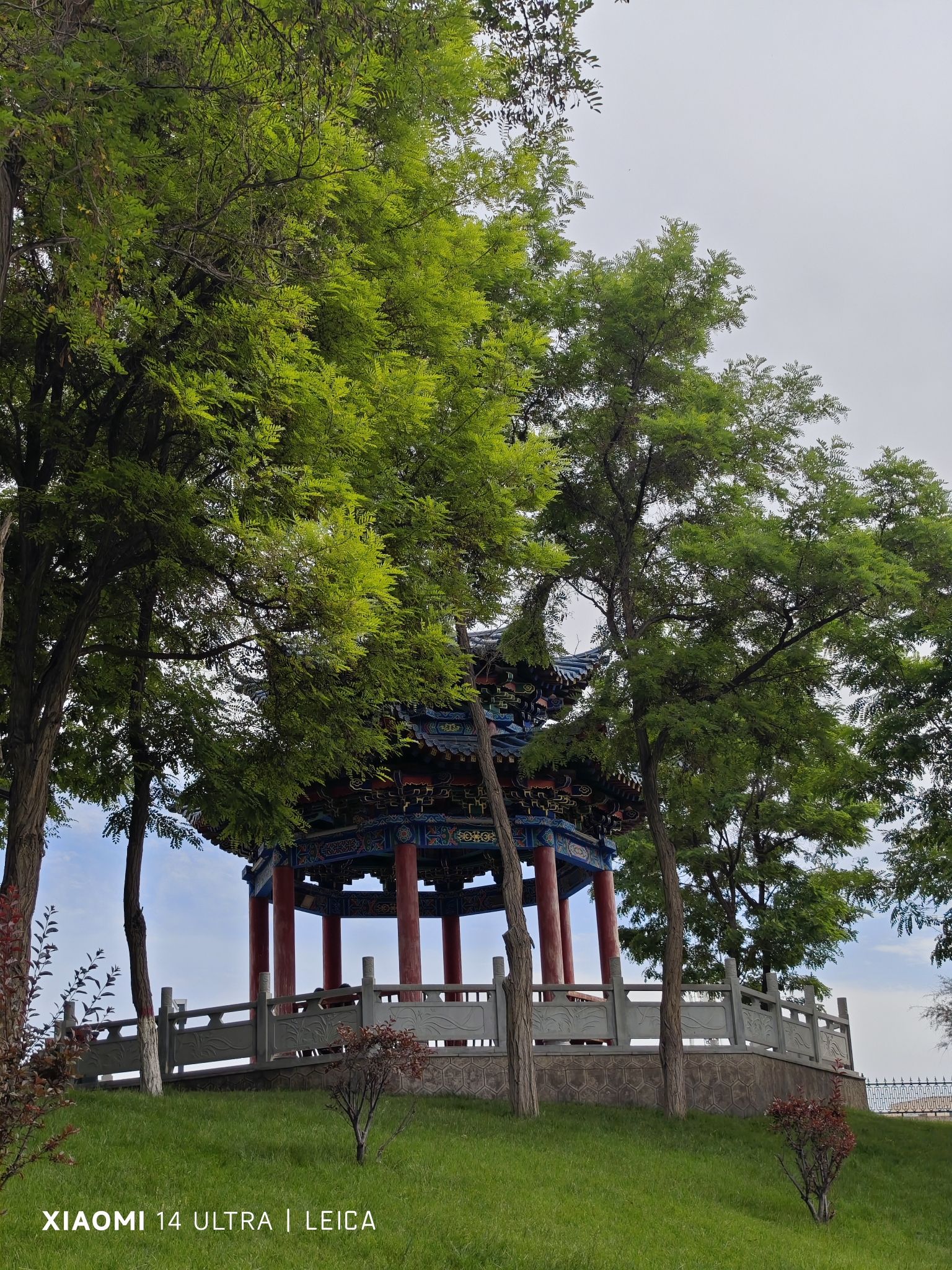 白银市金鱼公园-动物园