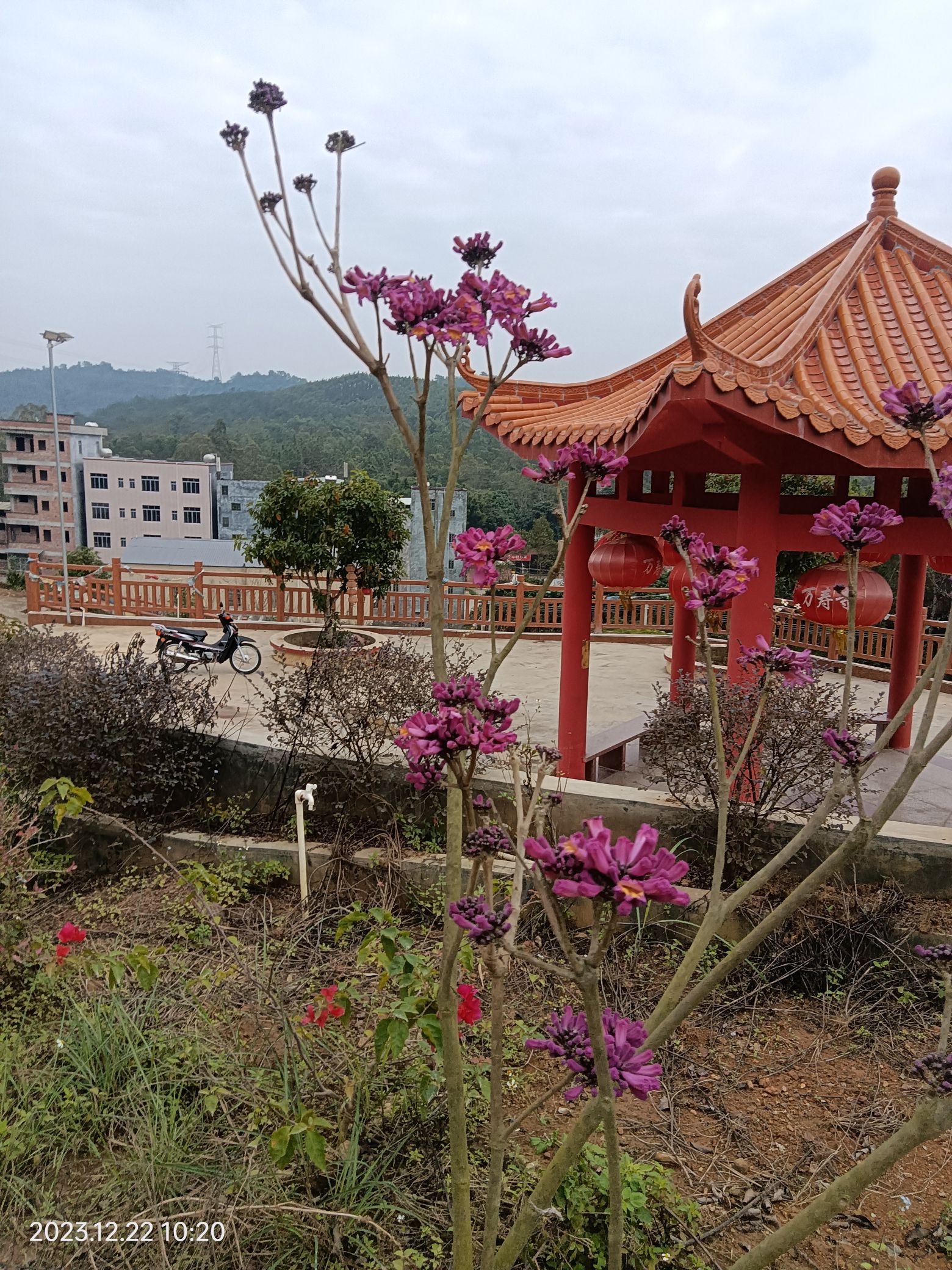 万寿山旅行图片 2