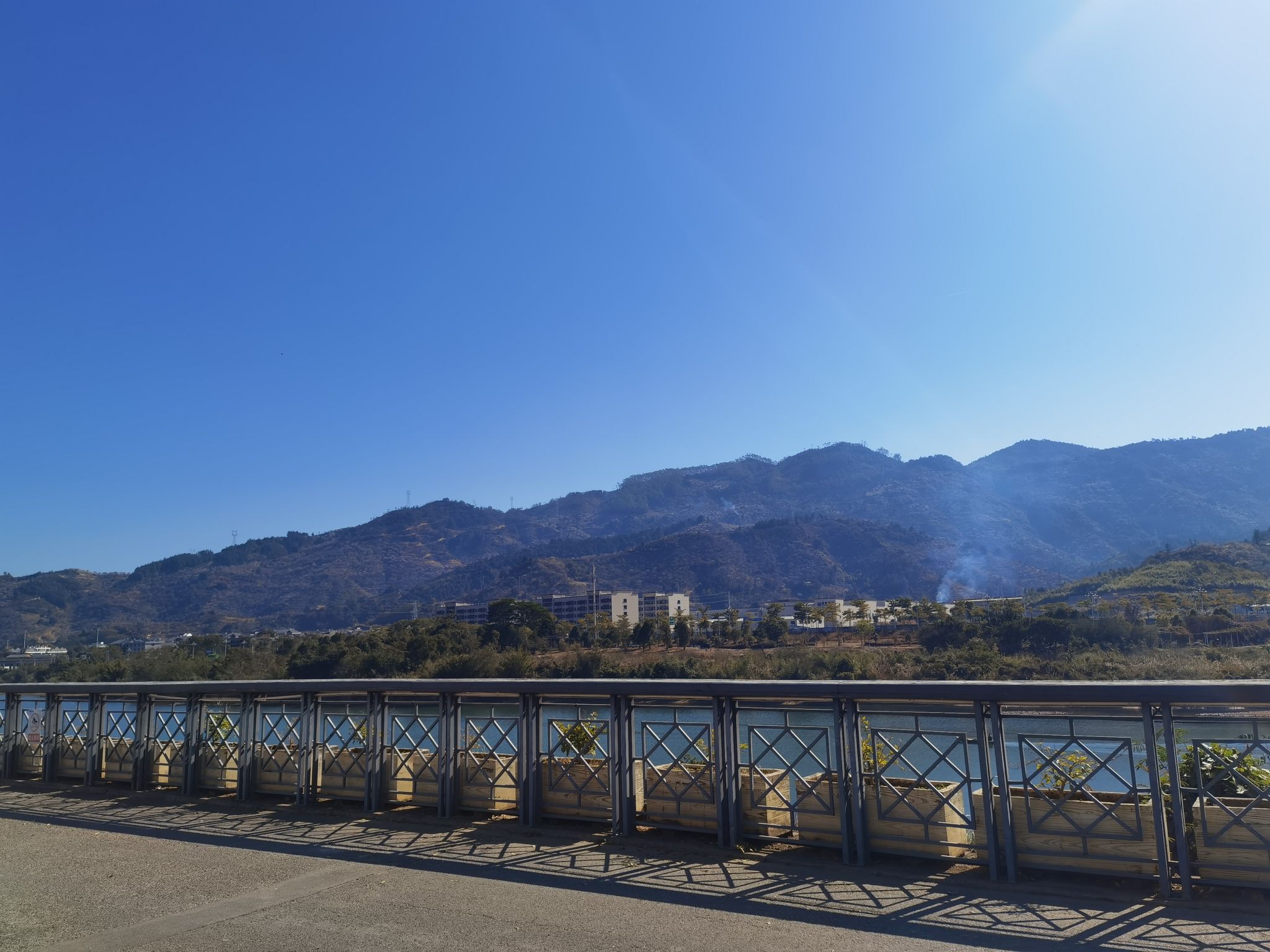 大樟溪自行车道花海公园旅行图片 1