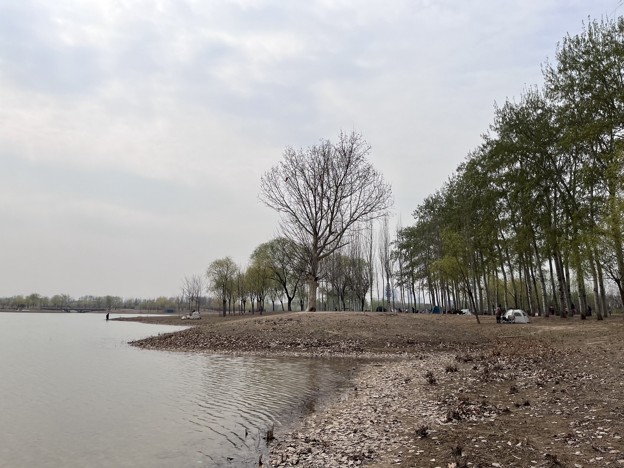 黑桥公园旅行图片 2