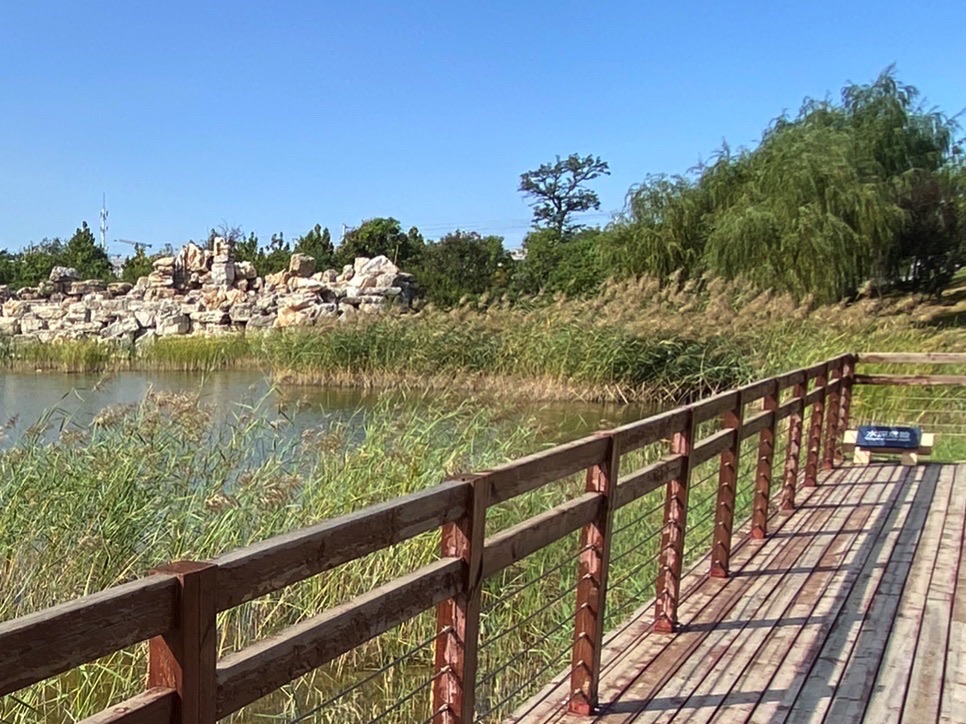 黑桥公园旅行图片 1