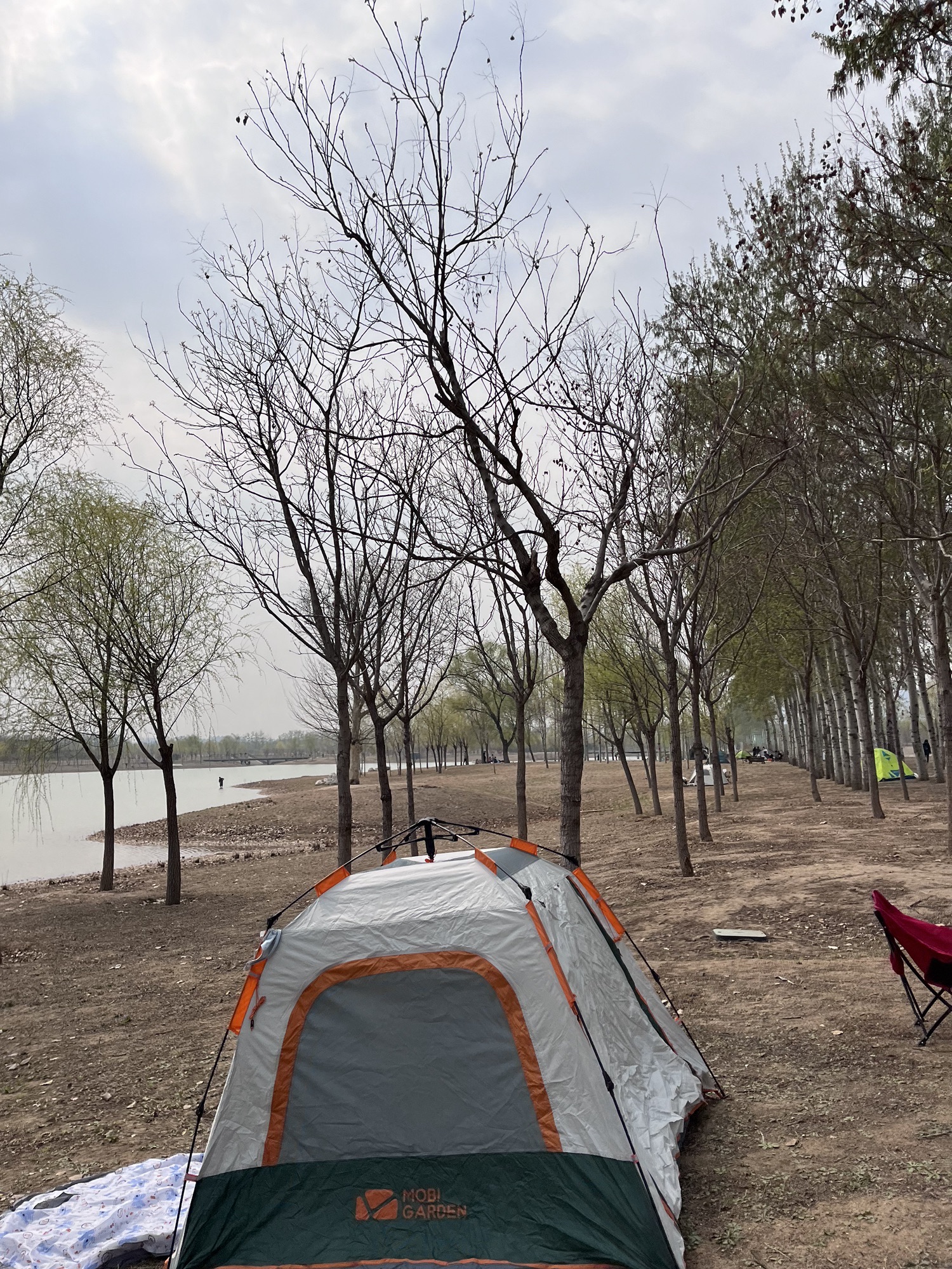 黑桥公园旅行图片 3