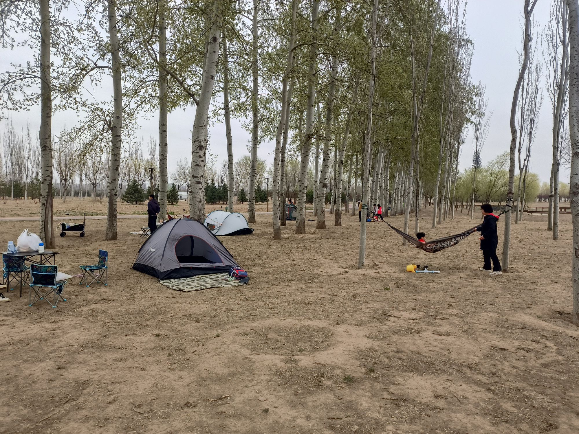 黑桥公园旅行图片 1