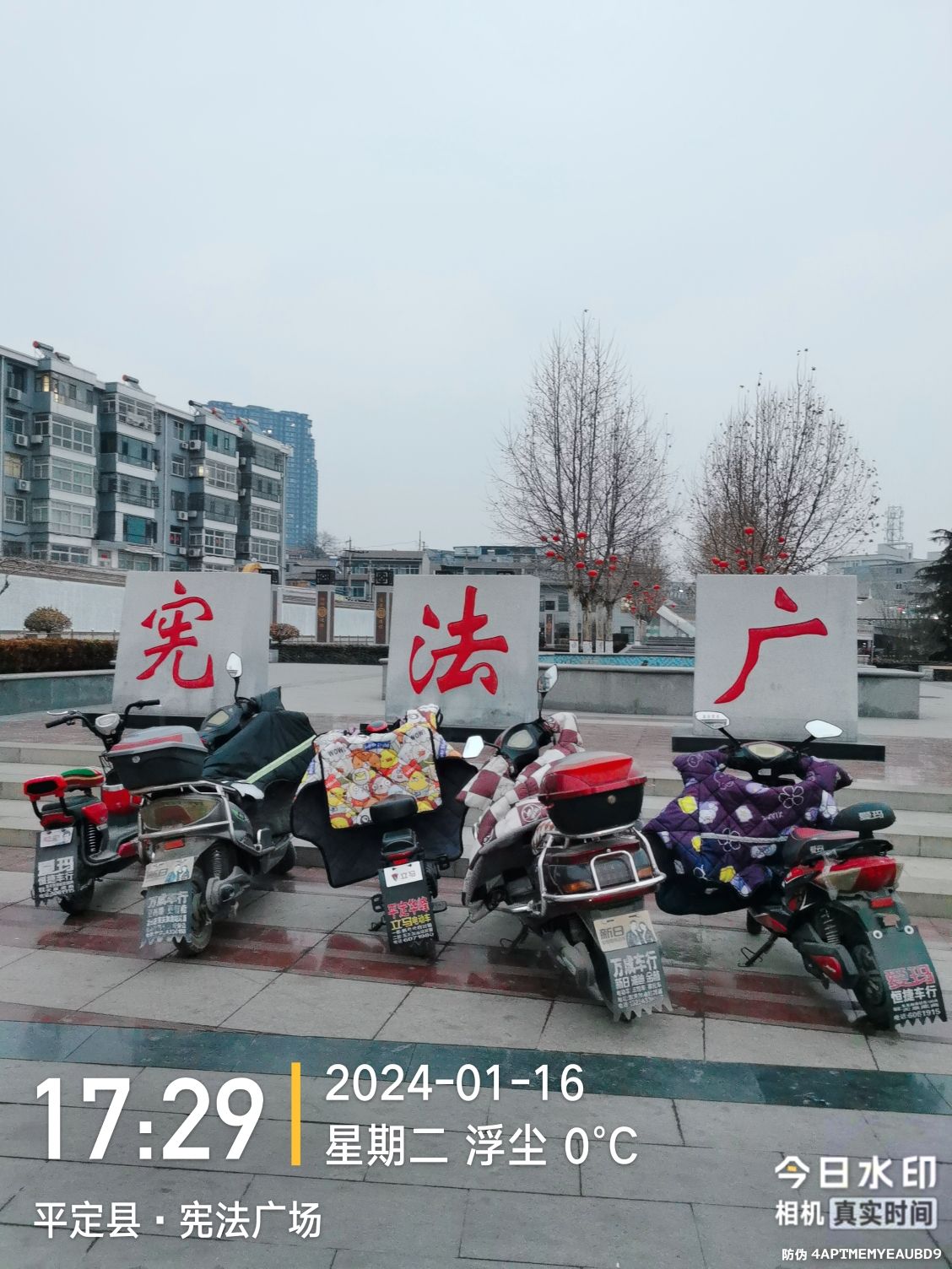 宪法广场旅行图片 2