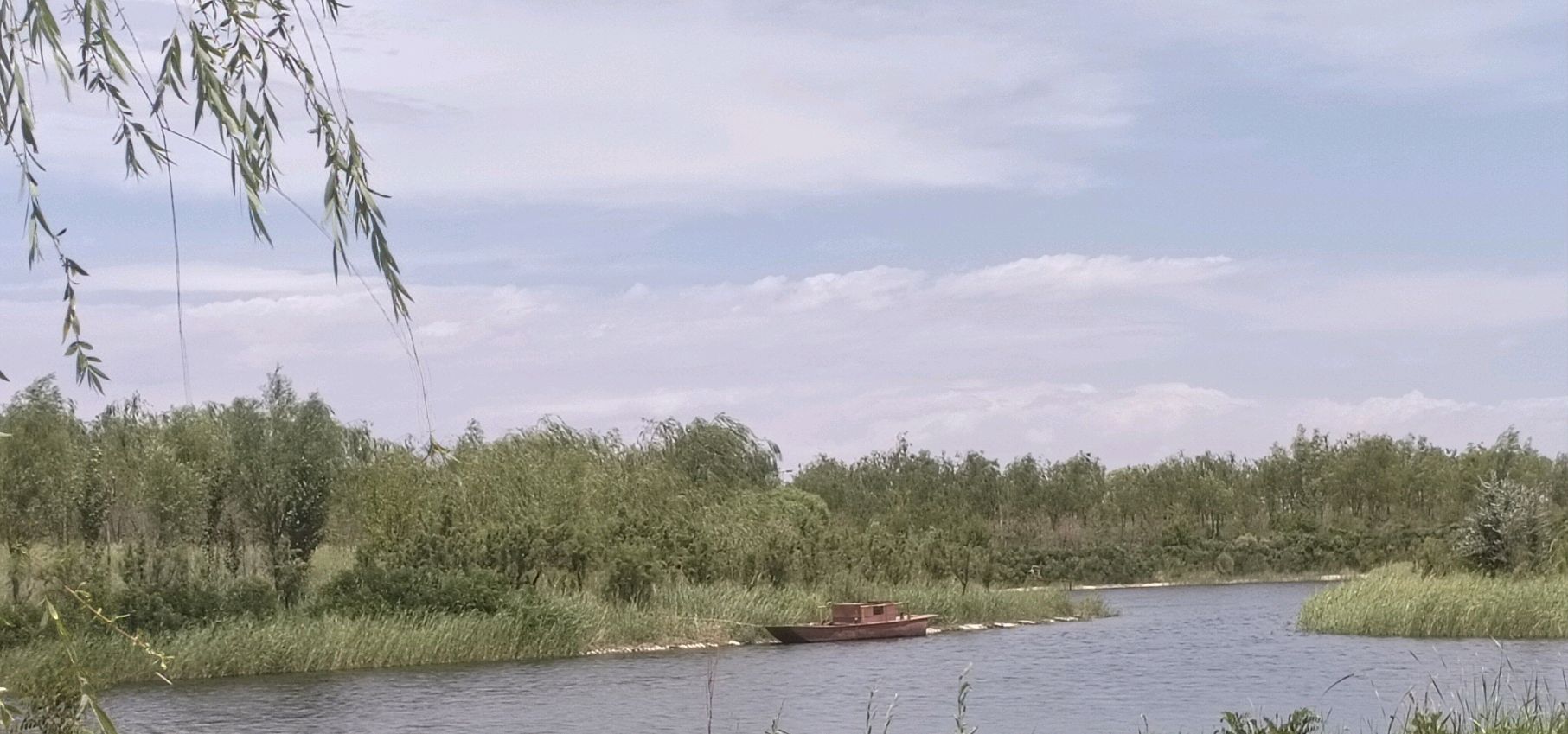 巴彦淖尔植物园旅行图片 3