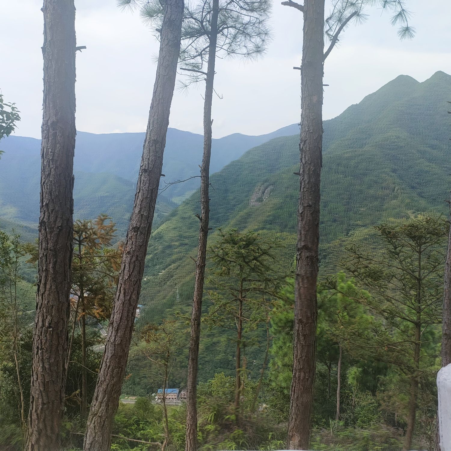 摘星谷旅行图片 2