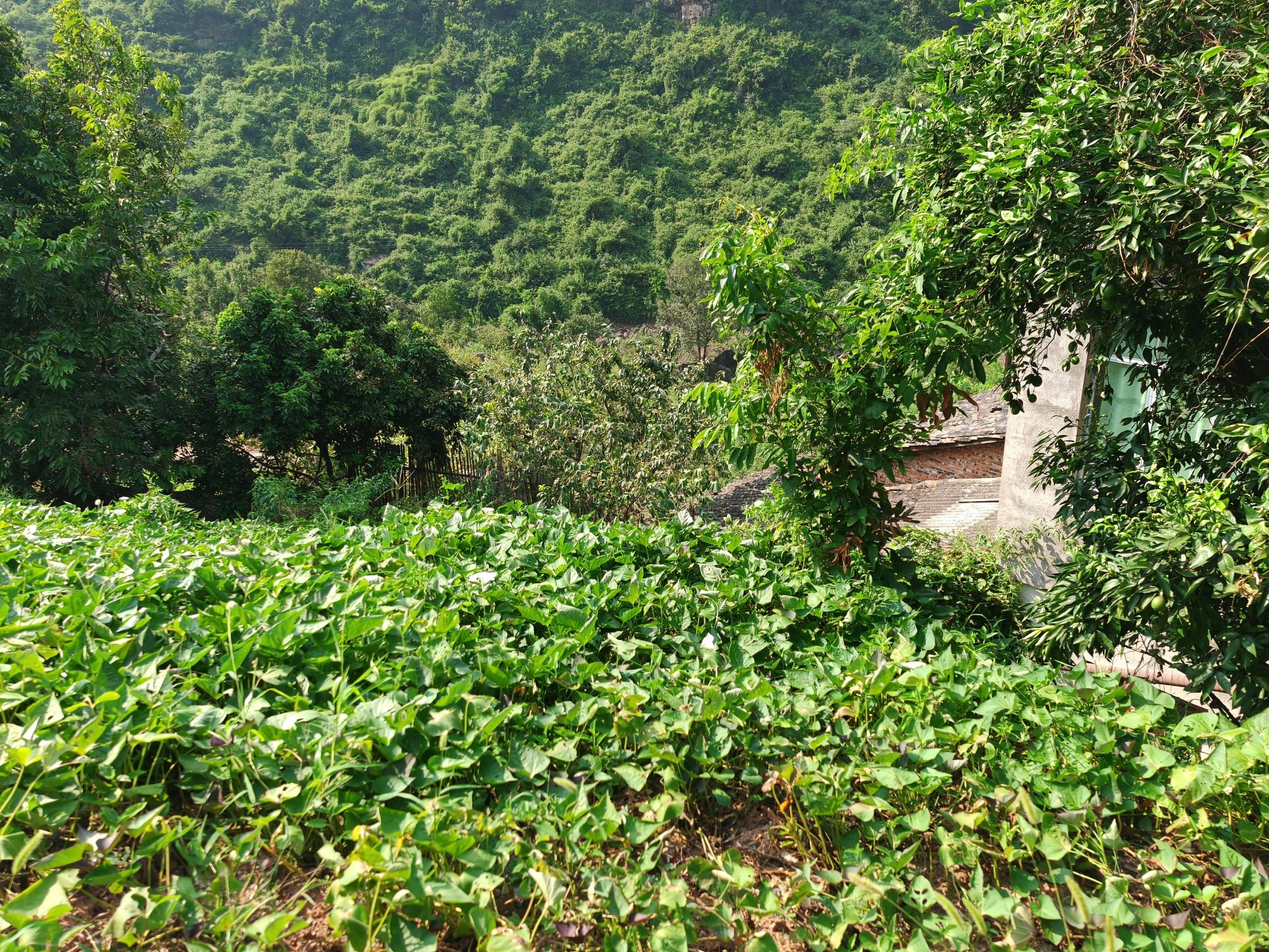 小坝景区旅行图片 1