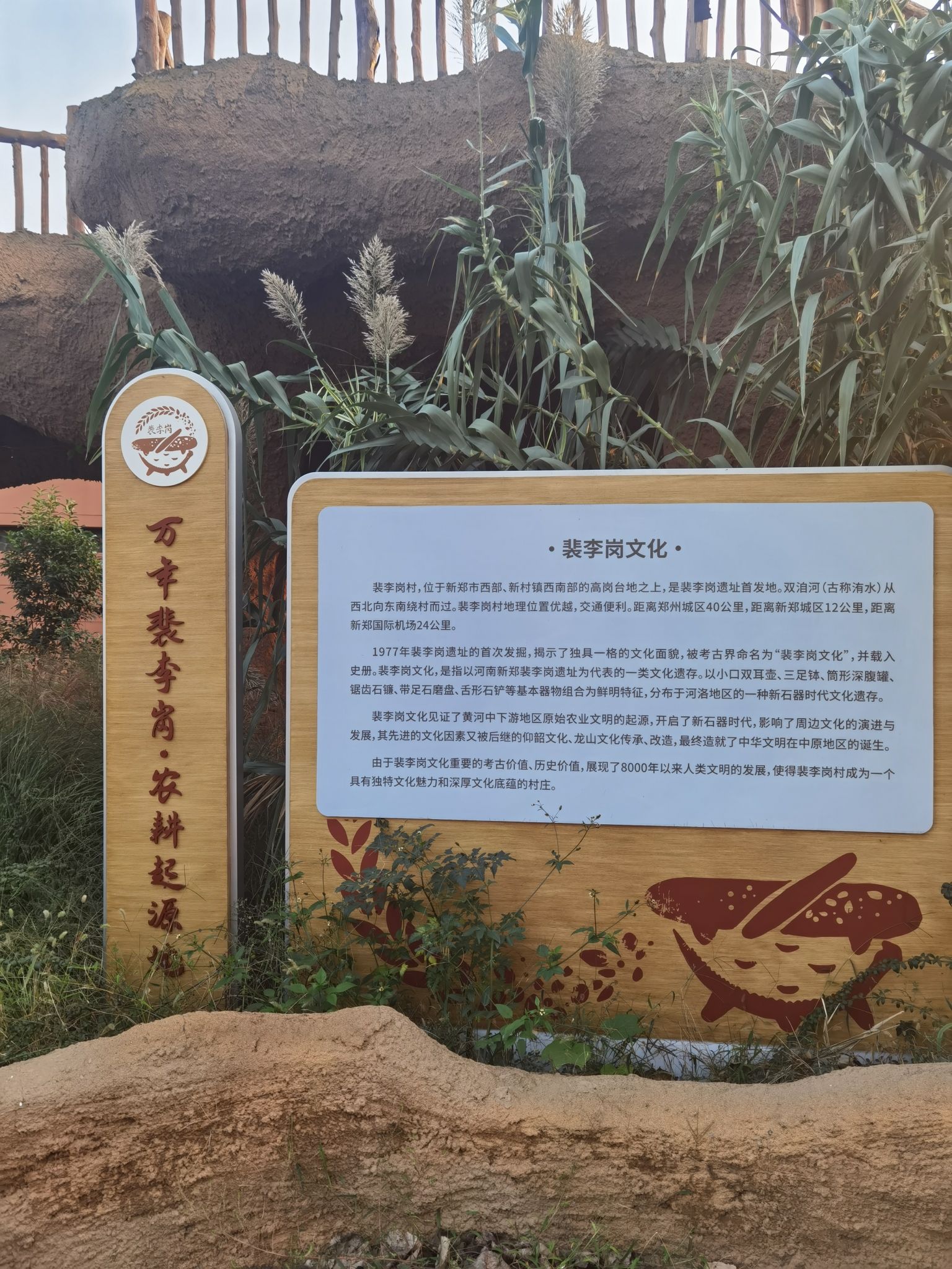 裴李岗遗址旅行图片 2