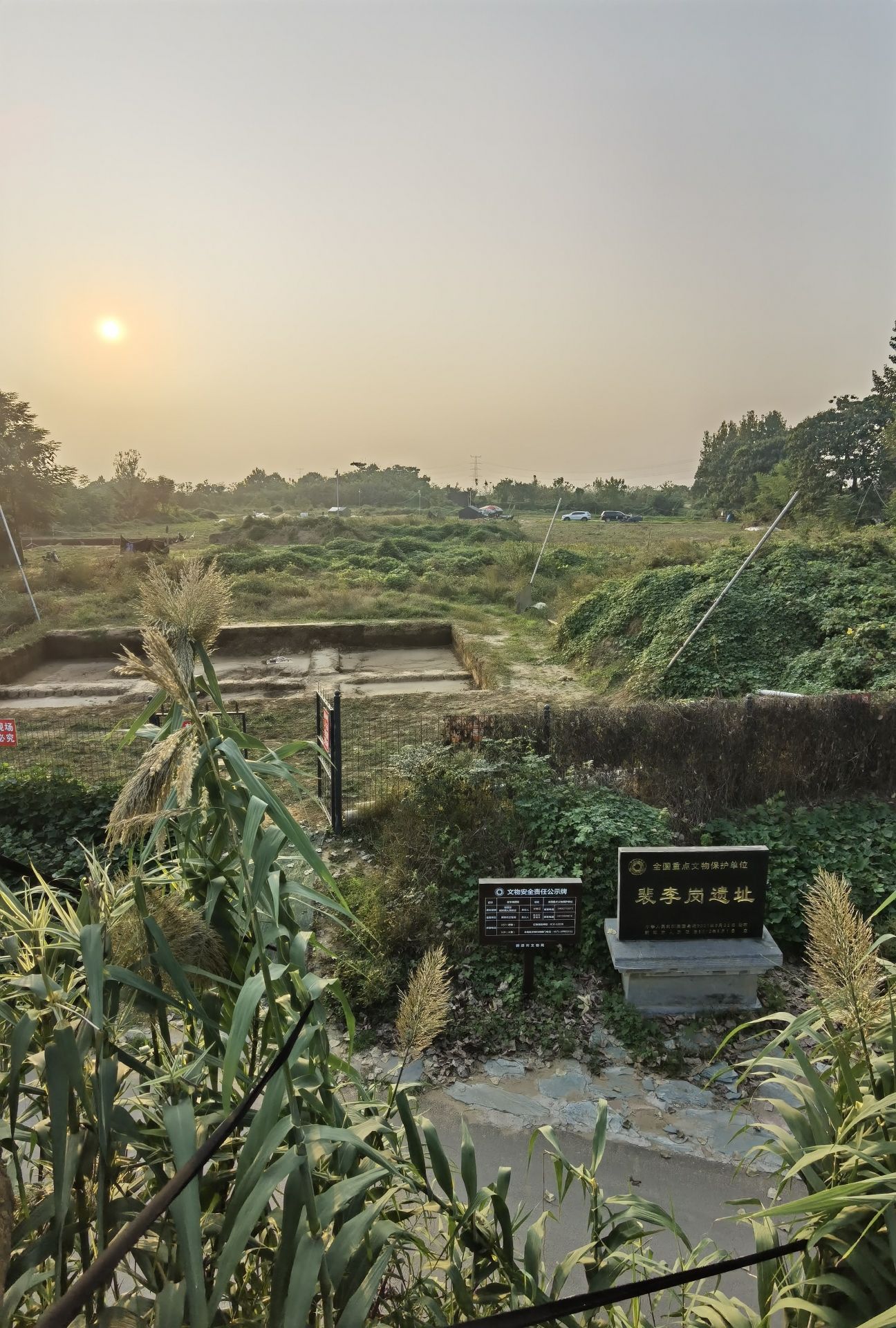 裴李岗遗址旅行图片 1