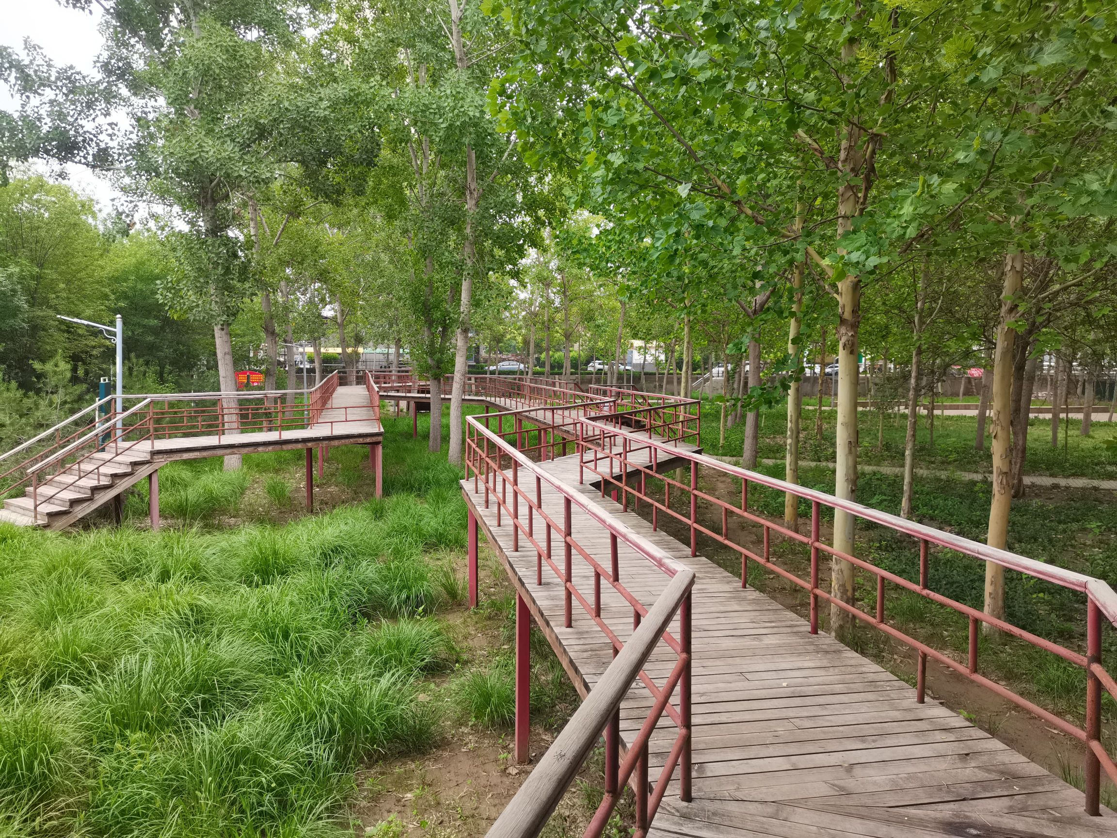 森林六趣园旅行图片 2