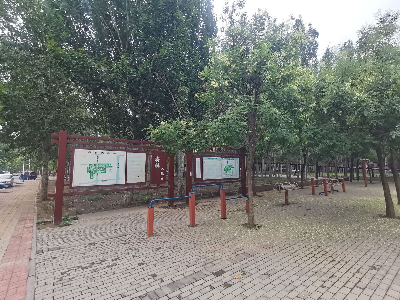 森林六趣园旅行图片 3