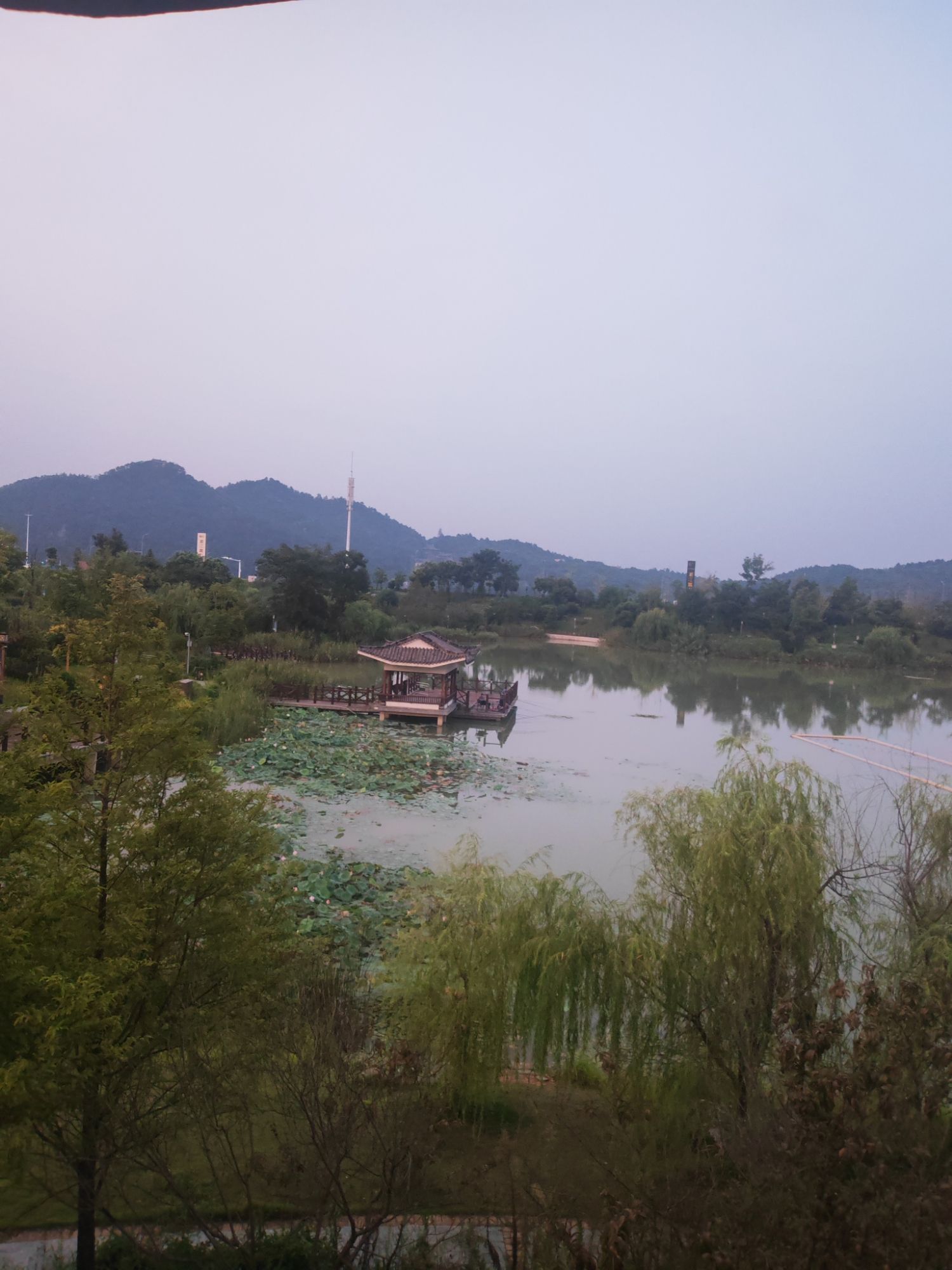 小西湖旅行图片 1