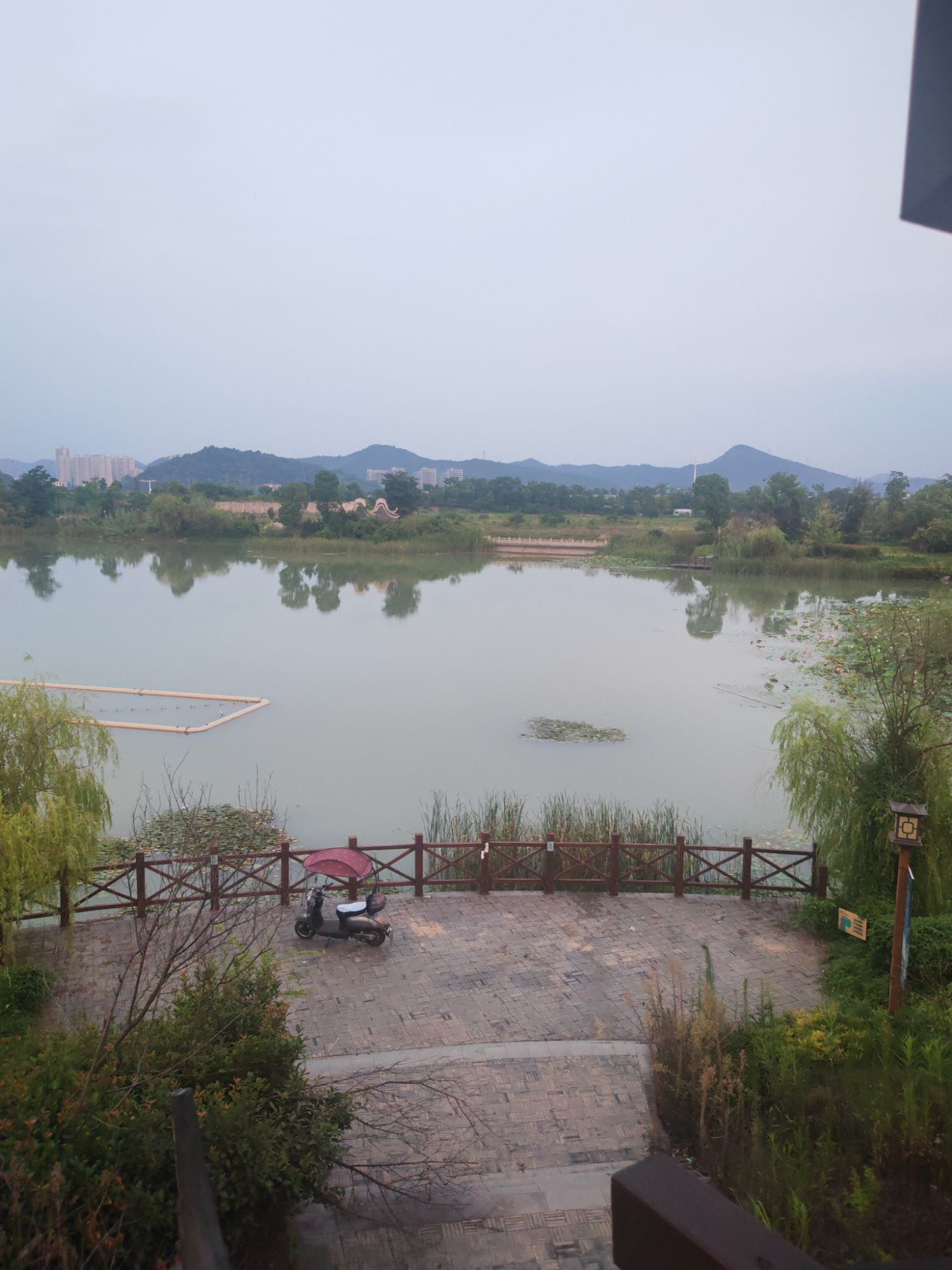 小西湖旅行图片 2