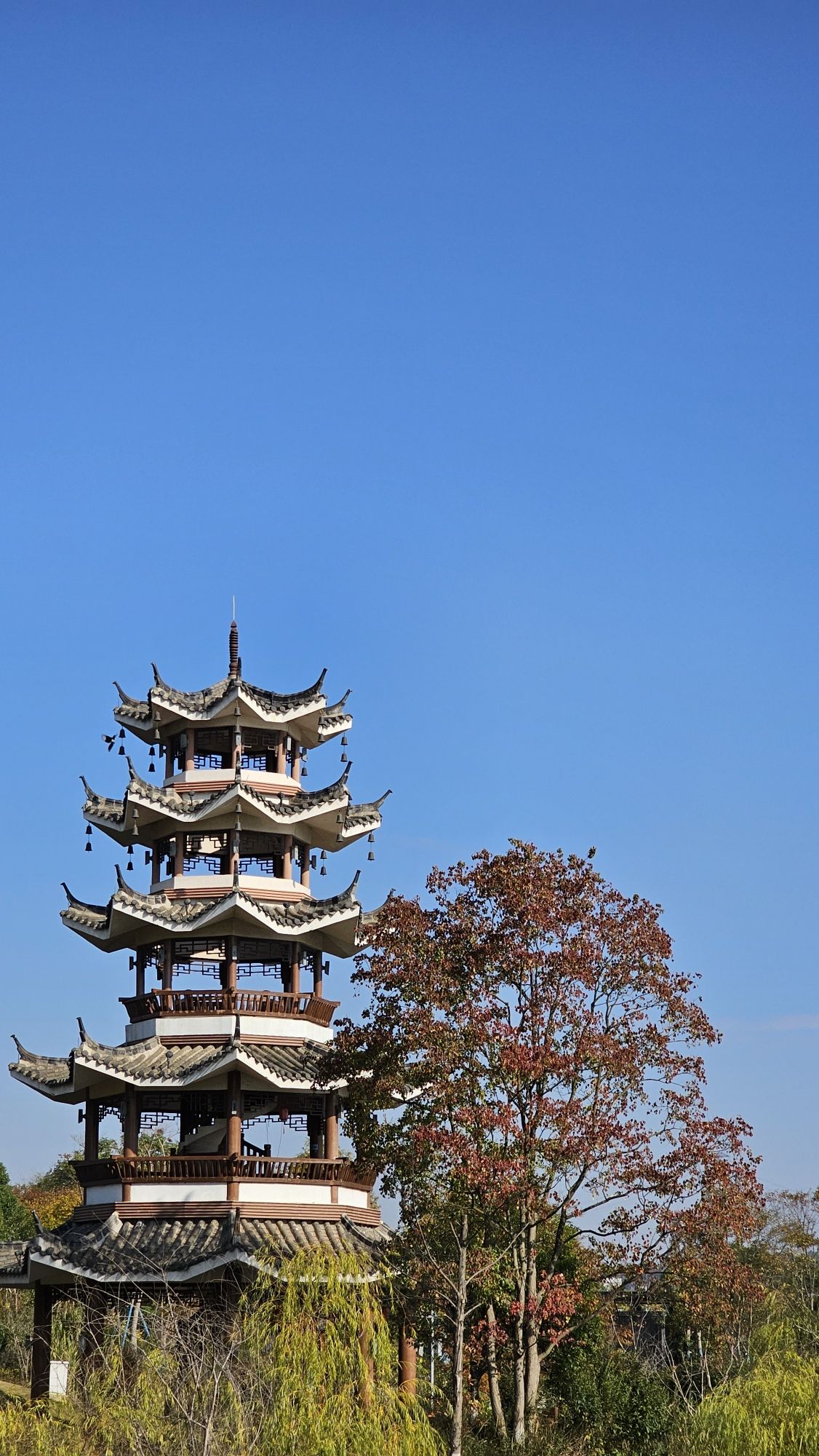 小西湖旅行图片 2