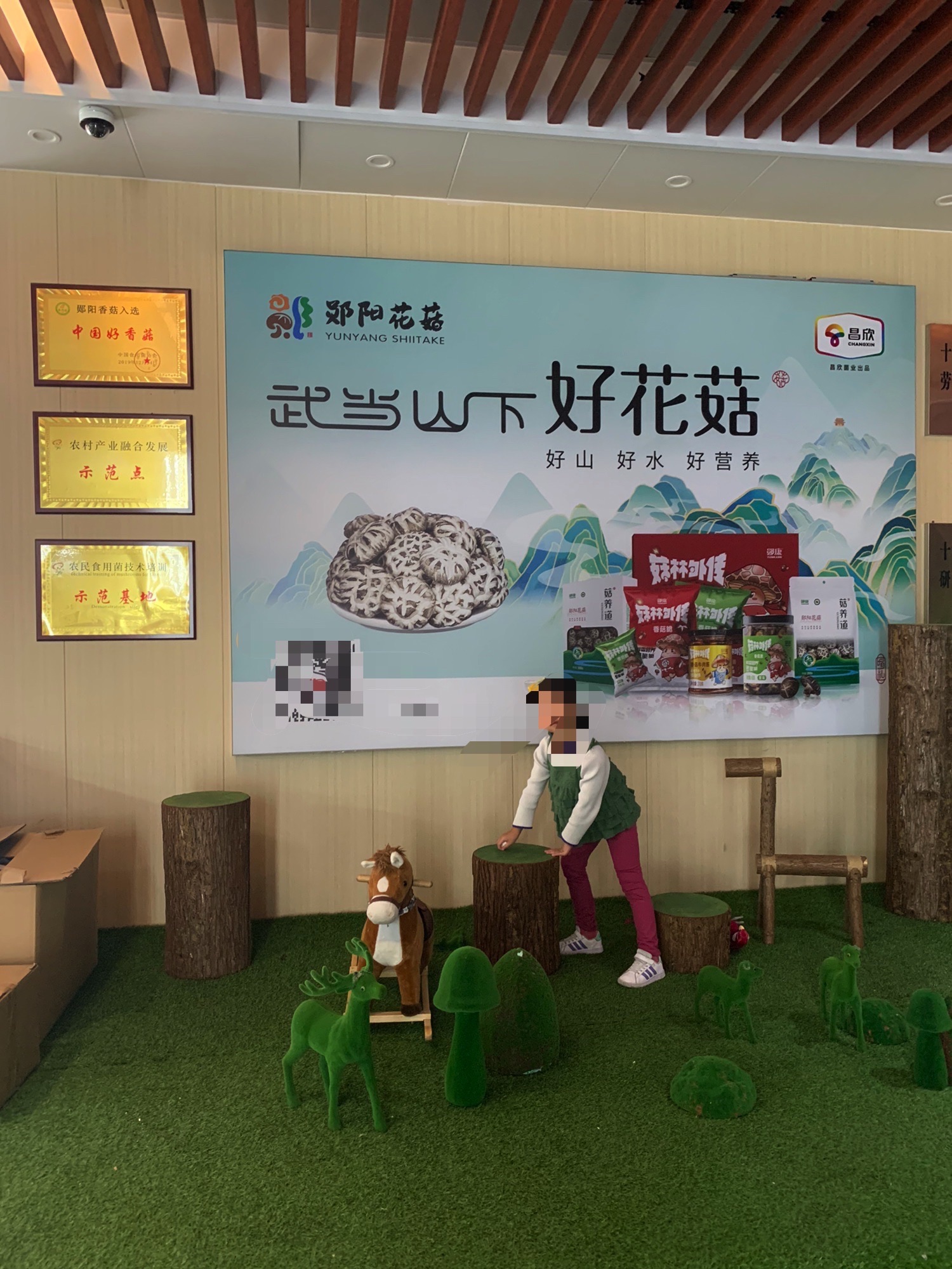 中国香菇扶贫园观光台旅行图片 2