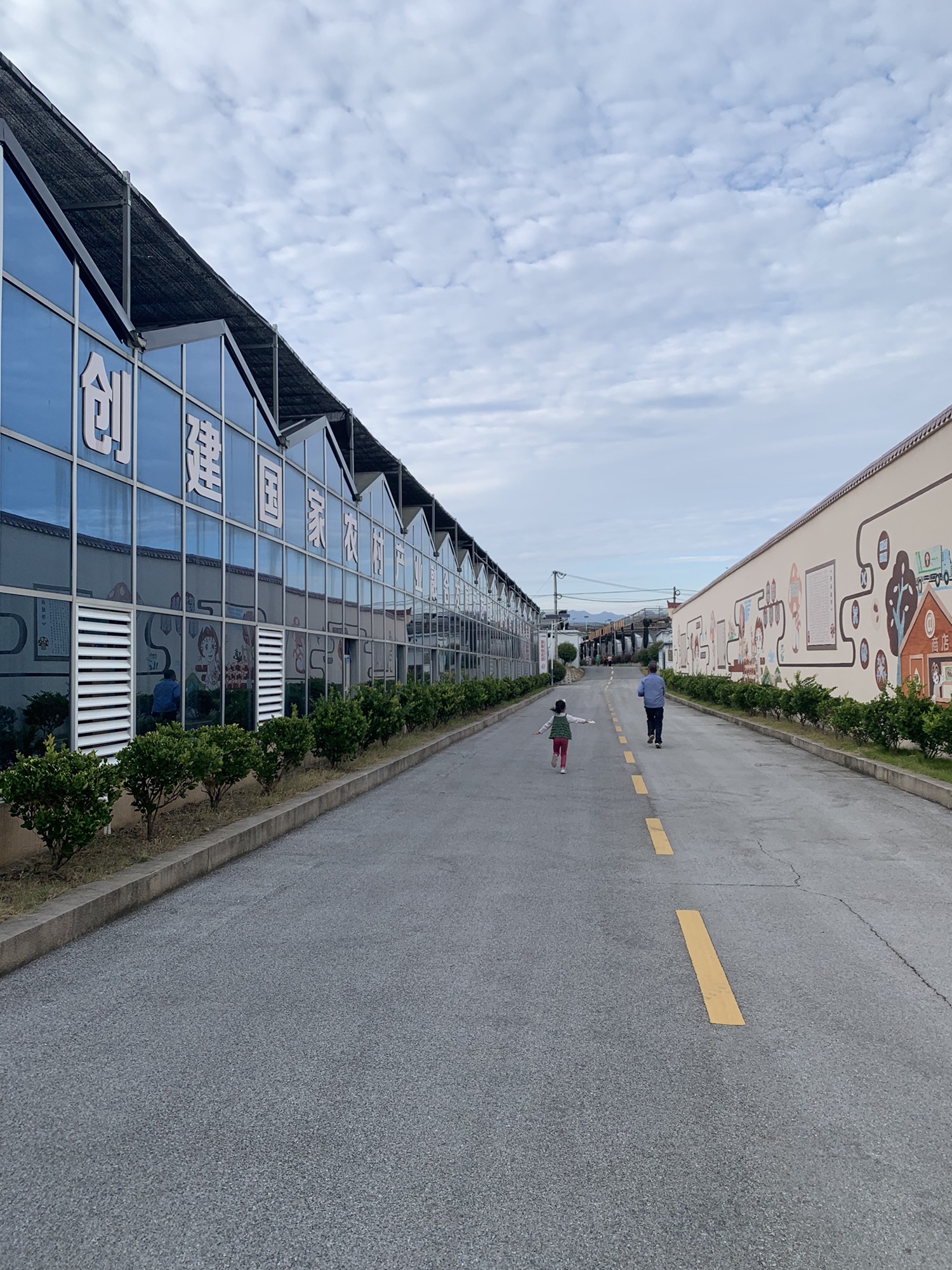 中国香菇扶贫园观光台旅行图片 3