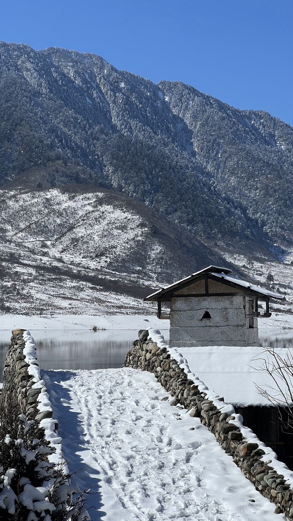 冶勒牧羊谷-影视基地旅行图片 3