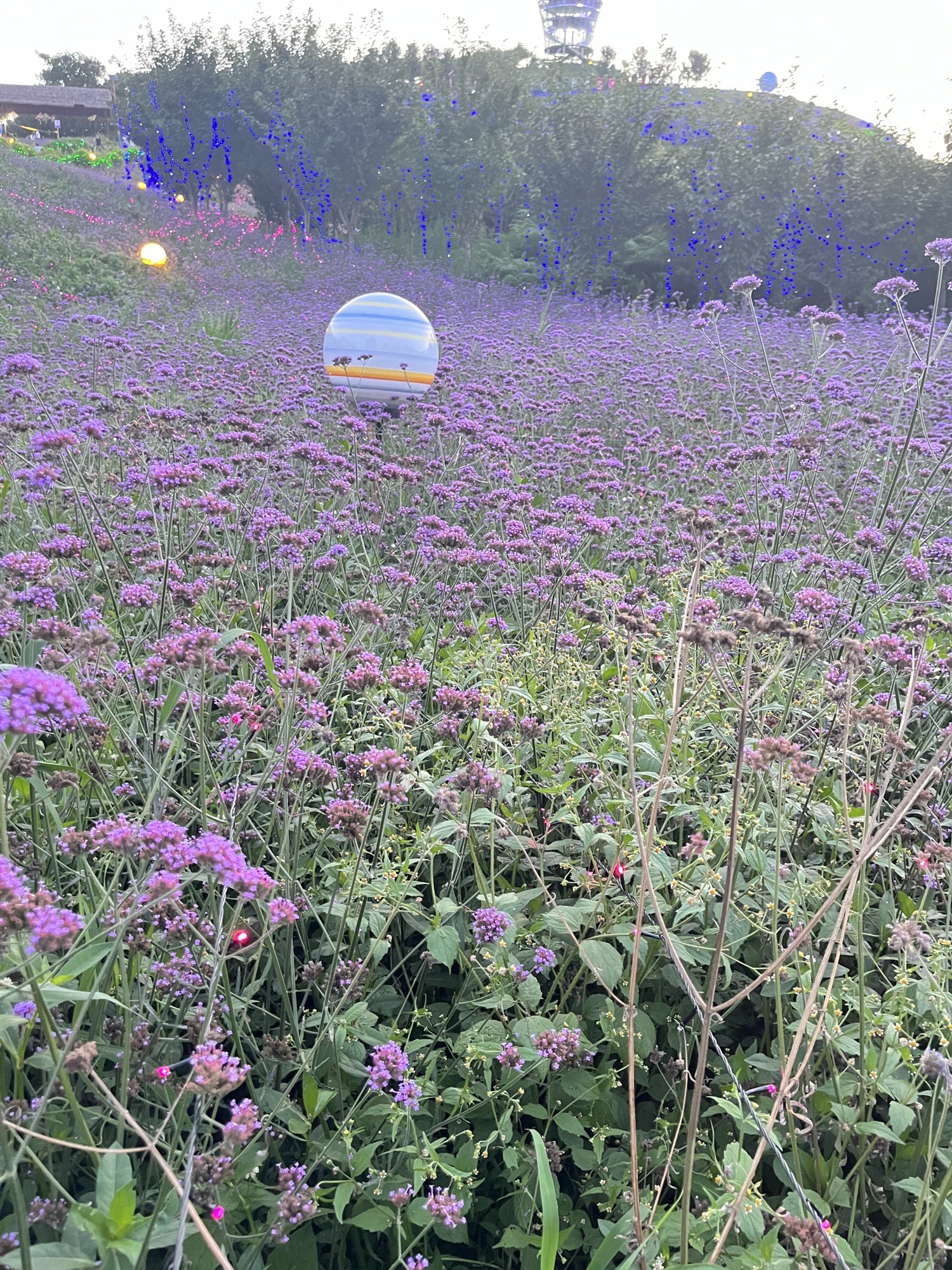 杉坪旅游景区旅行图片 2