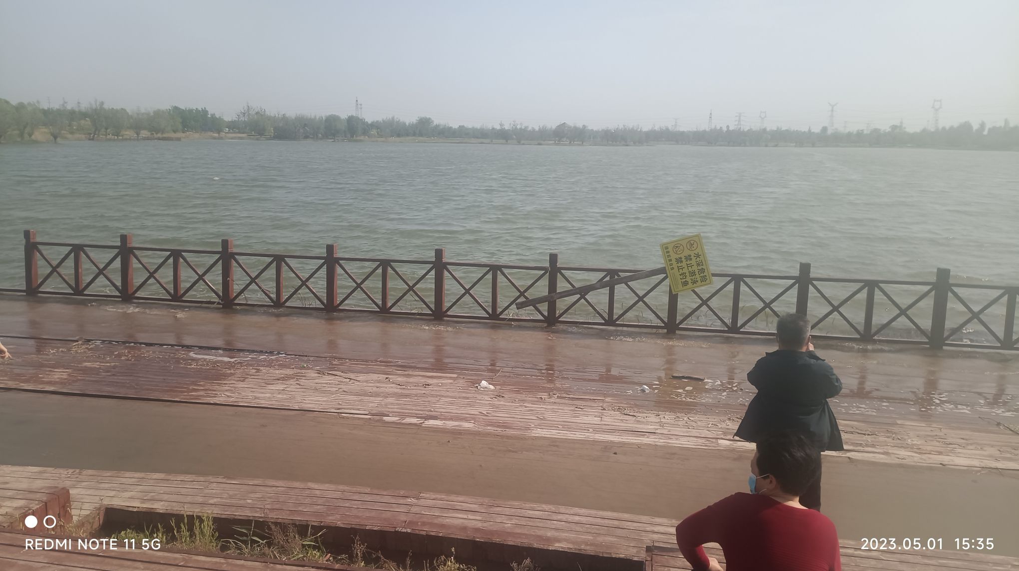 临邑县凤鸣湖湿地公园旅行图片 1