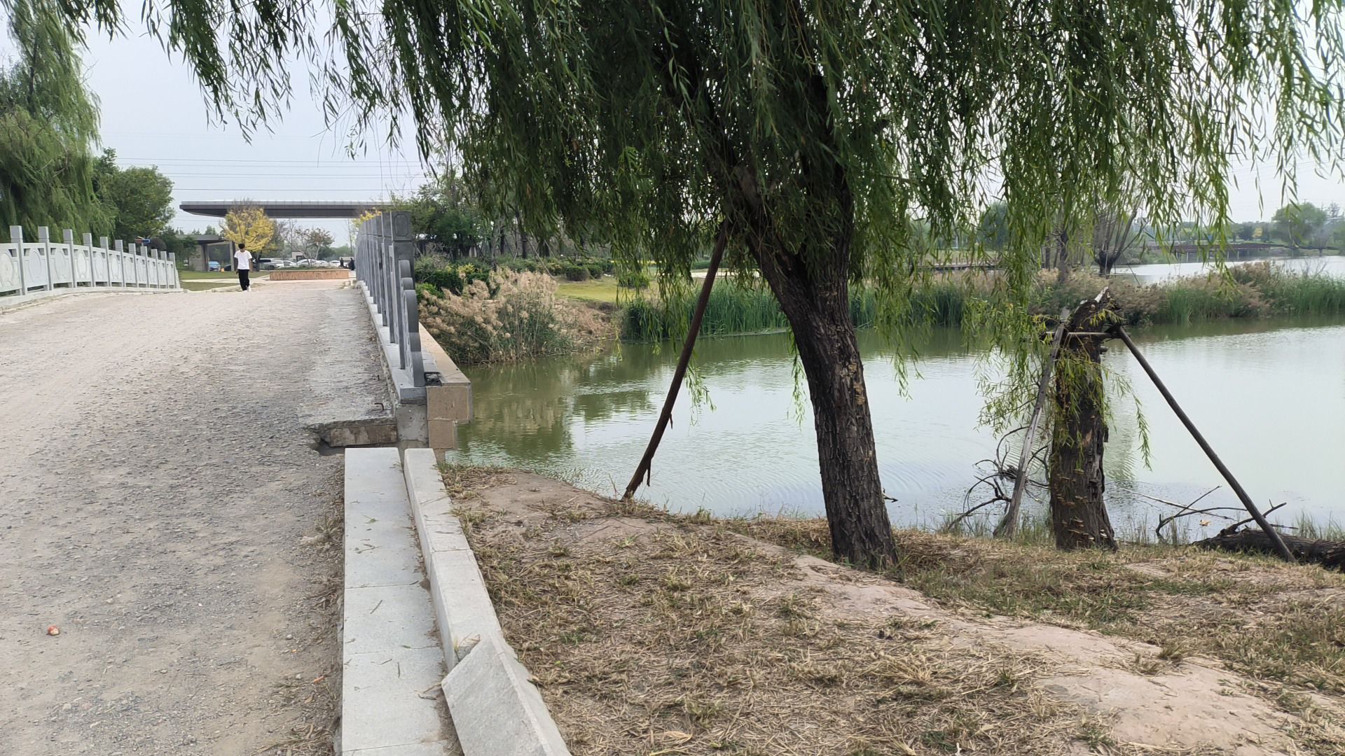 临邑县凤鸣湖湿地公园旅行图片 2